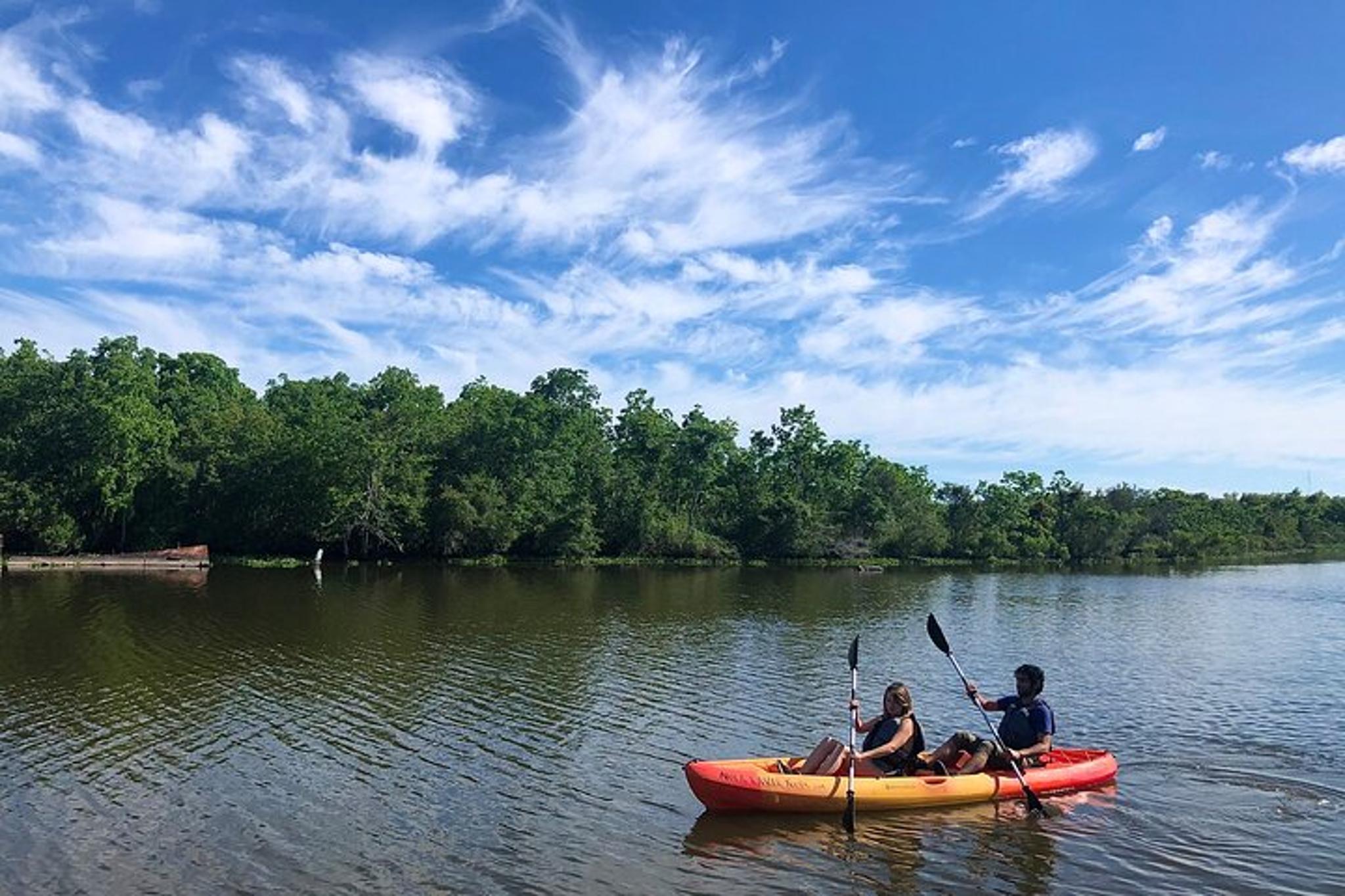 New Orleans Kayak Bayou Swamp Tour