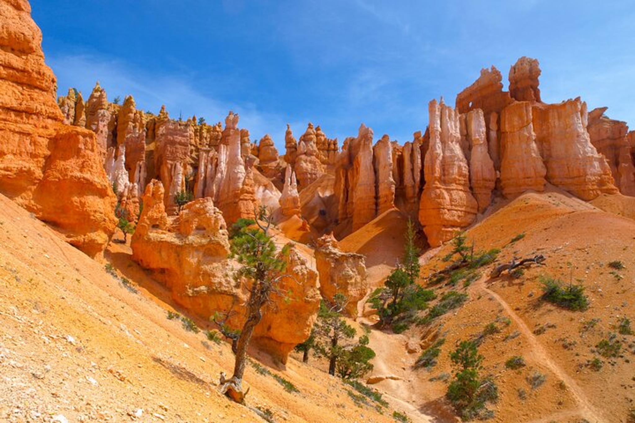 Las Vegas National Parks Tour 6 Days