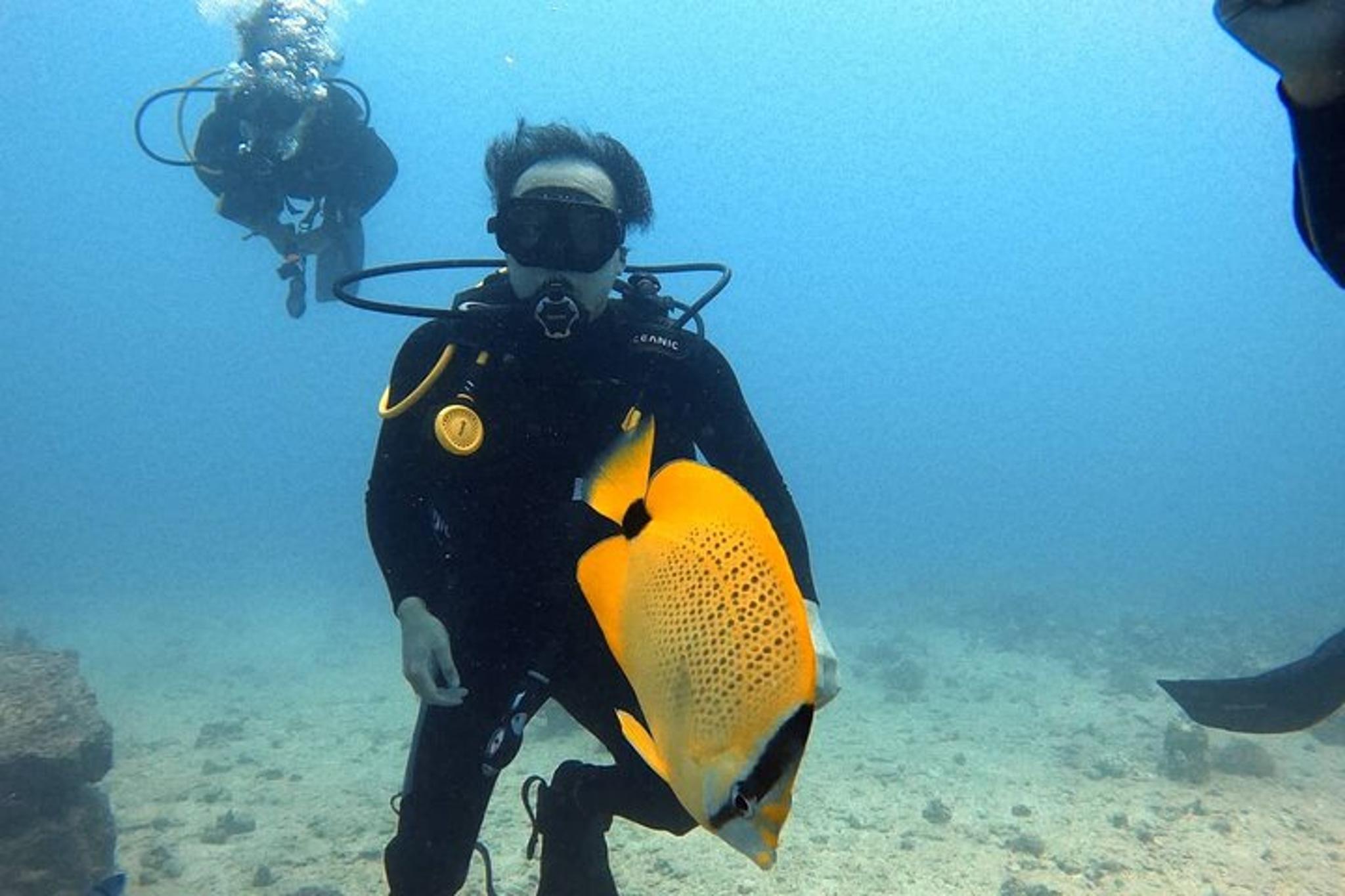 Oahu Shallow Reef Dive - Image 5