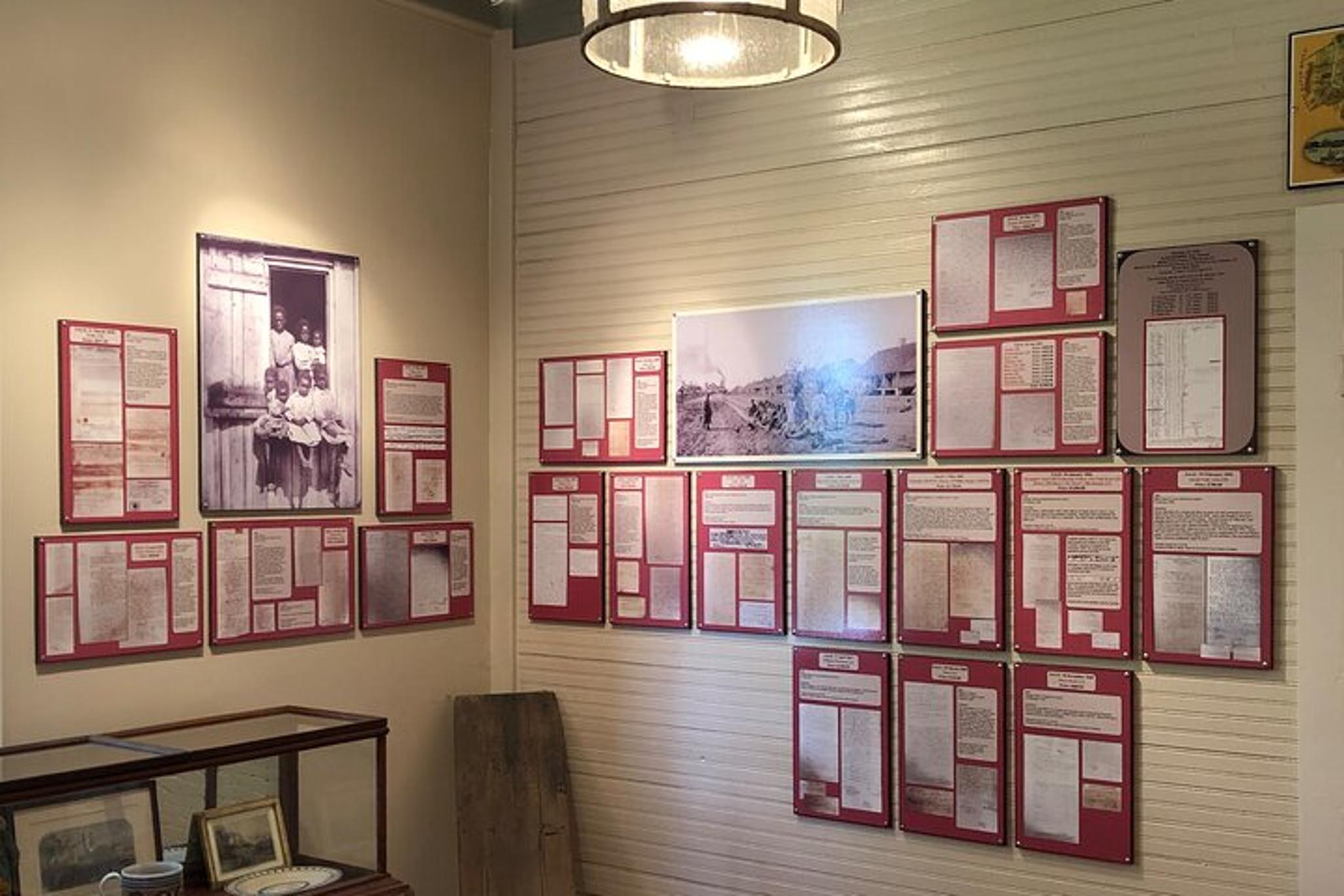 New Orleans Plantation and Airboat Tour - Image 6