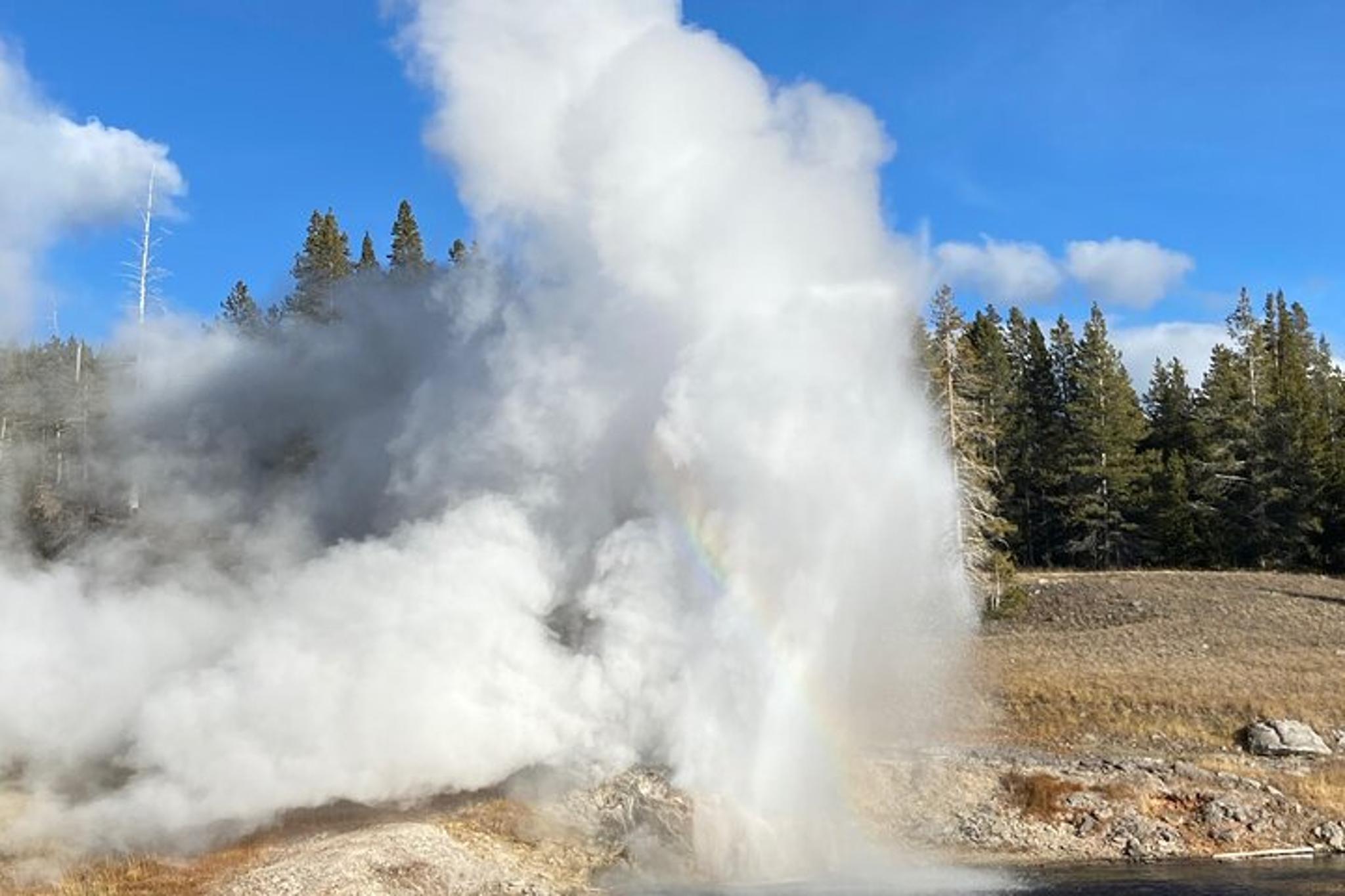 West Yellowstone Wildlife and Geyser Tour - Image 3