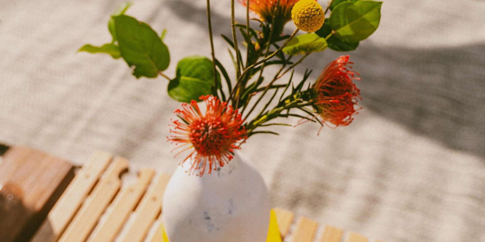 Miami Beach Private Lounge and Picnic Setup - Image 3