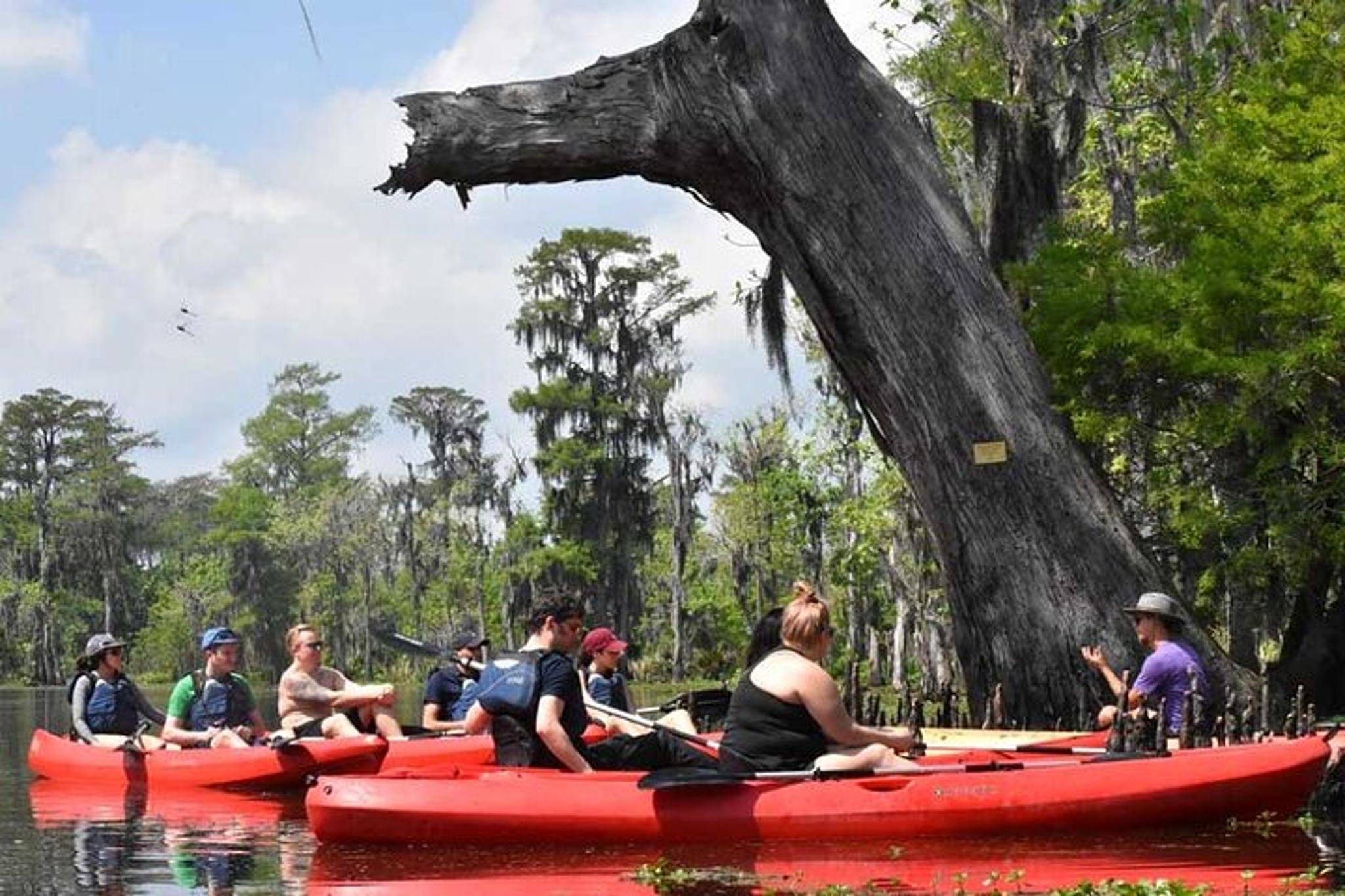 Manchac Swamp Kayak Tour with Pickup 4 hr - Image 1