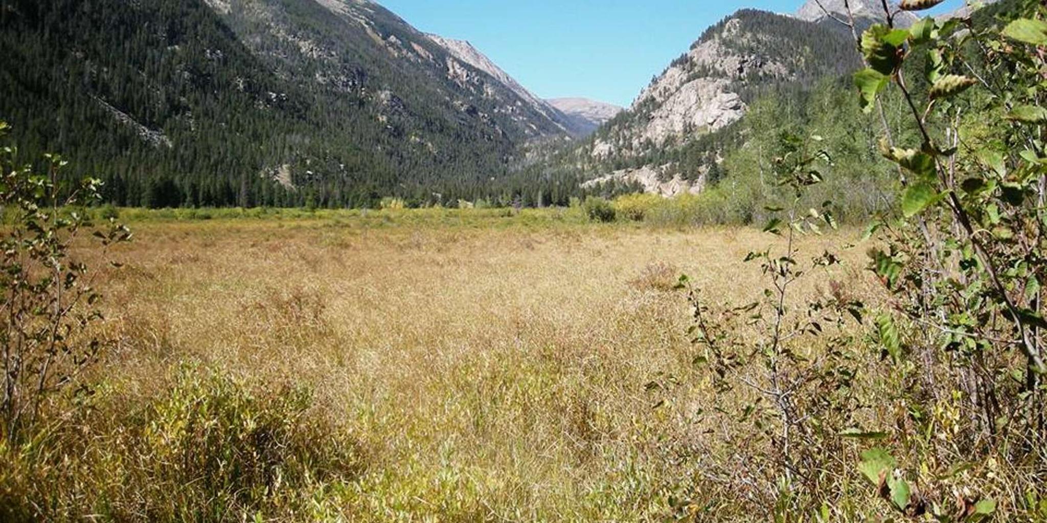 Estes Park Off-Road 4x4 Jeep Adventure - Image 4
