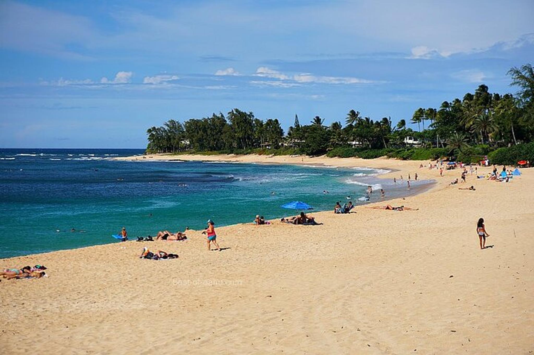 Oahu Town and Country Tour - Image 5