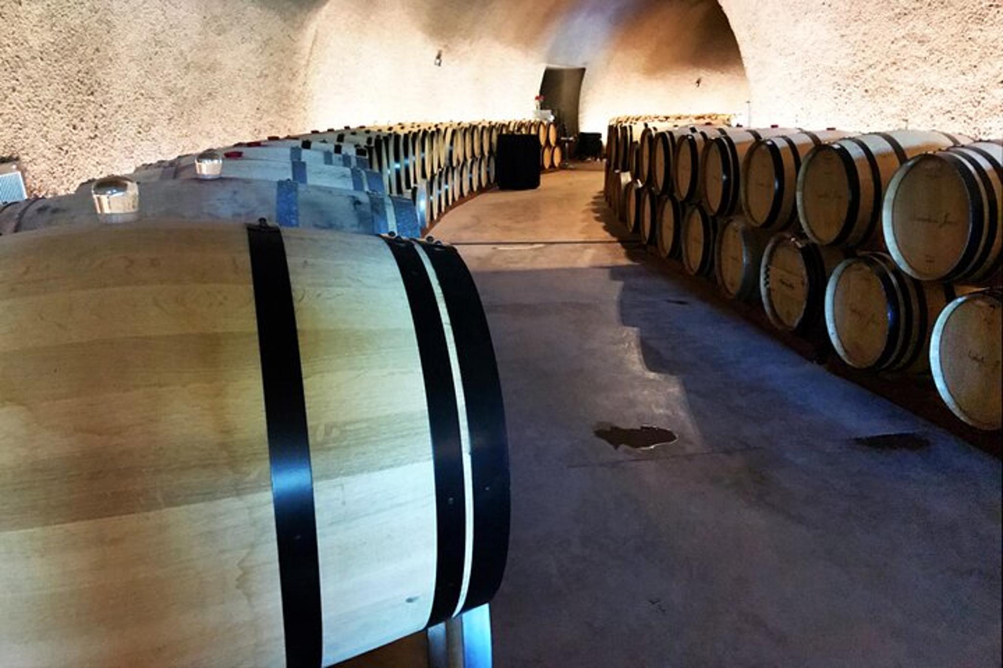 Napa Valley Group Wineries Tour with Lunch - Image 4