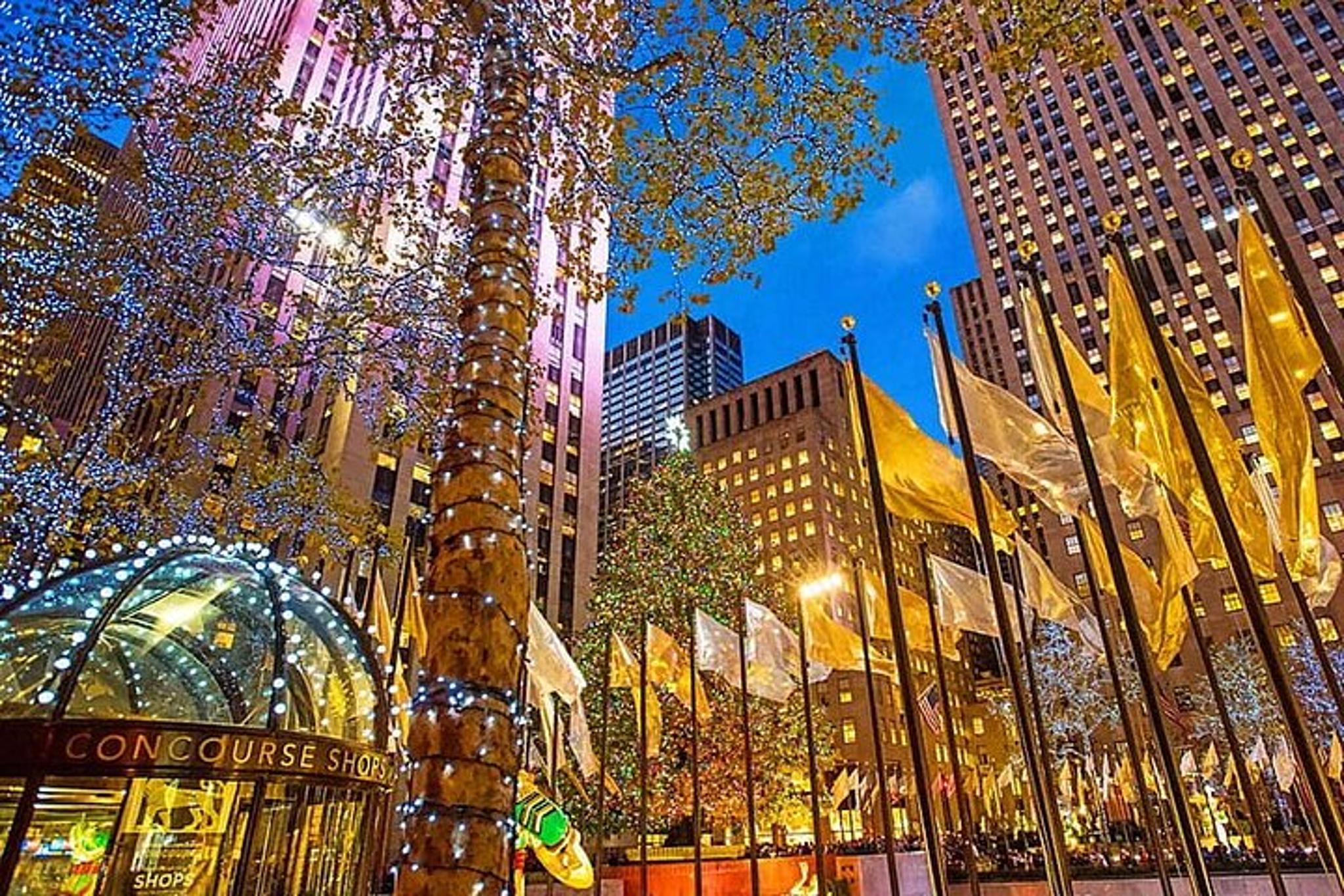 New York City Central Park Horse Carriage Tour - Image 6