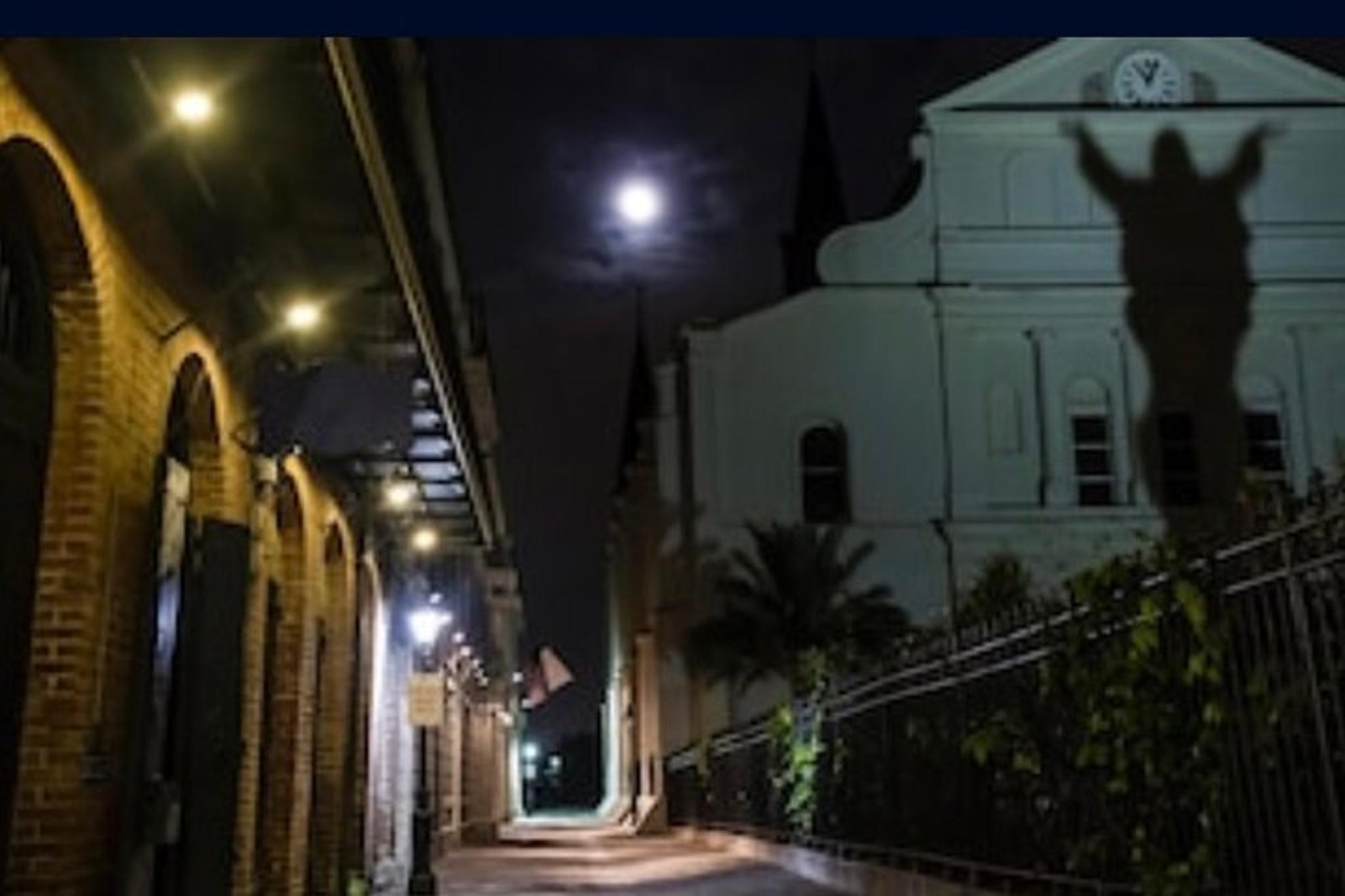 New Orleans Turkey Hunt Walking Tour - Image 4