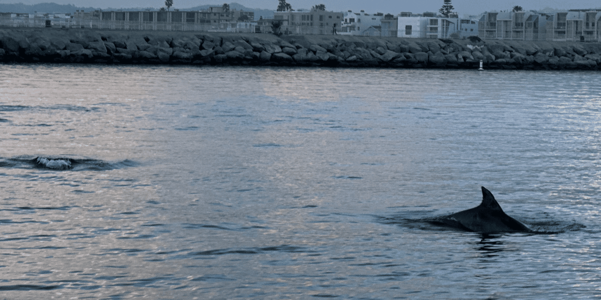 Marina del Rey Boat Tour 1 hr - Image 6