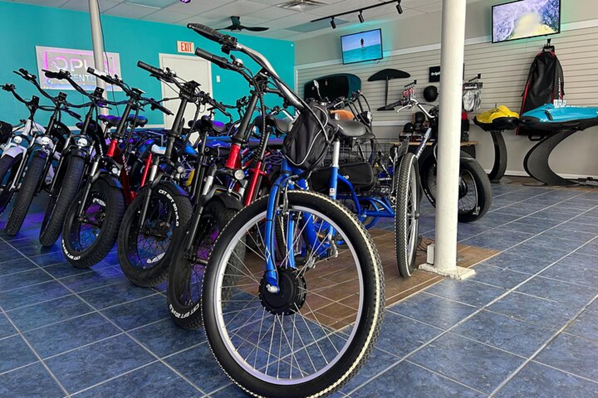 Sarasota E-Bike Rental Adventure - Image 2