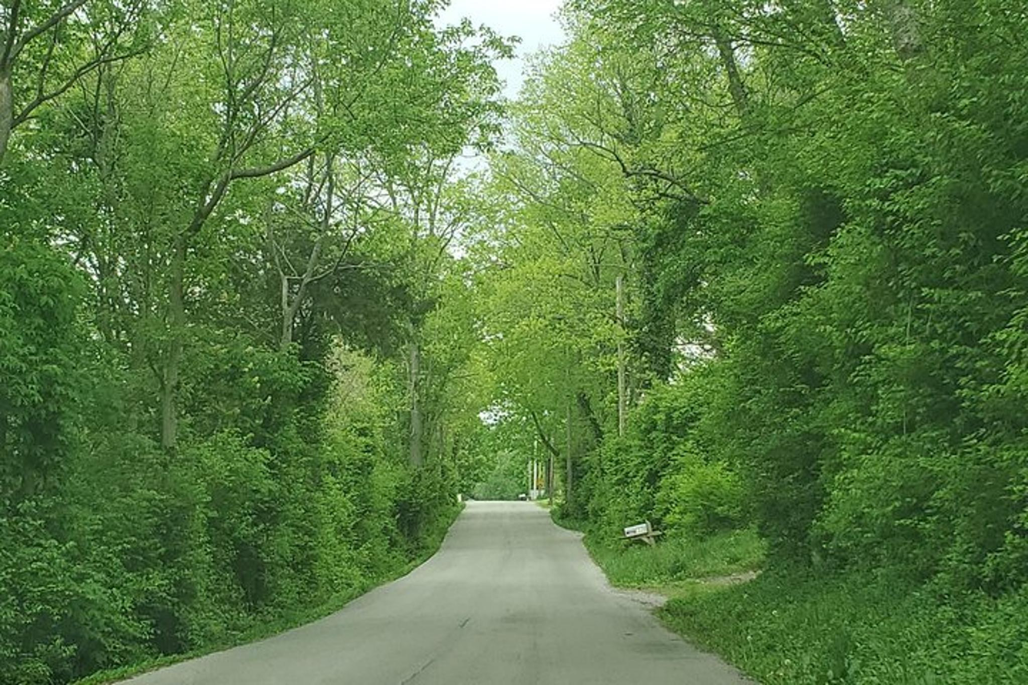 Louisville Bourbon & Derby Tour - Image 6