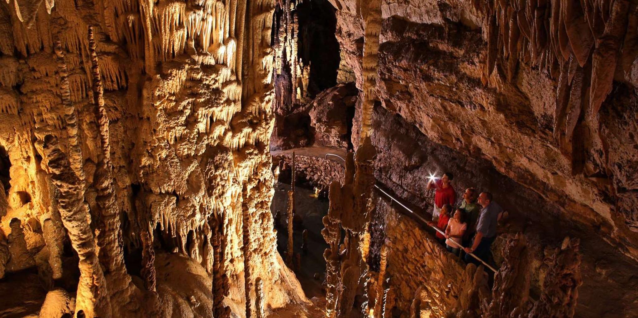 San Antonio Explorer Pass with 25+ Attractions - Image 6