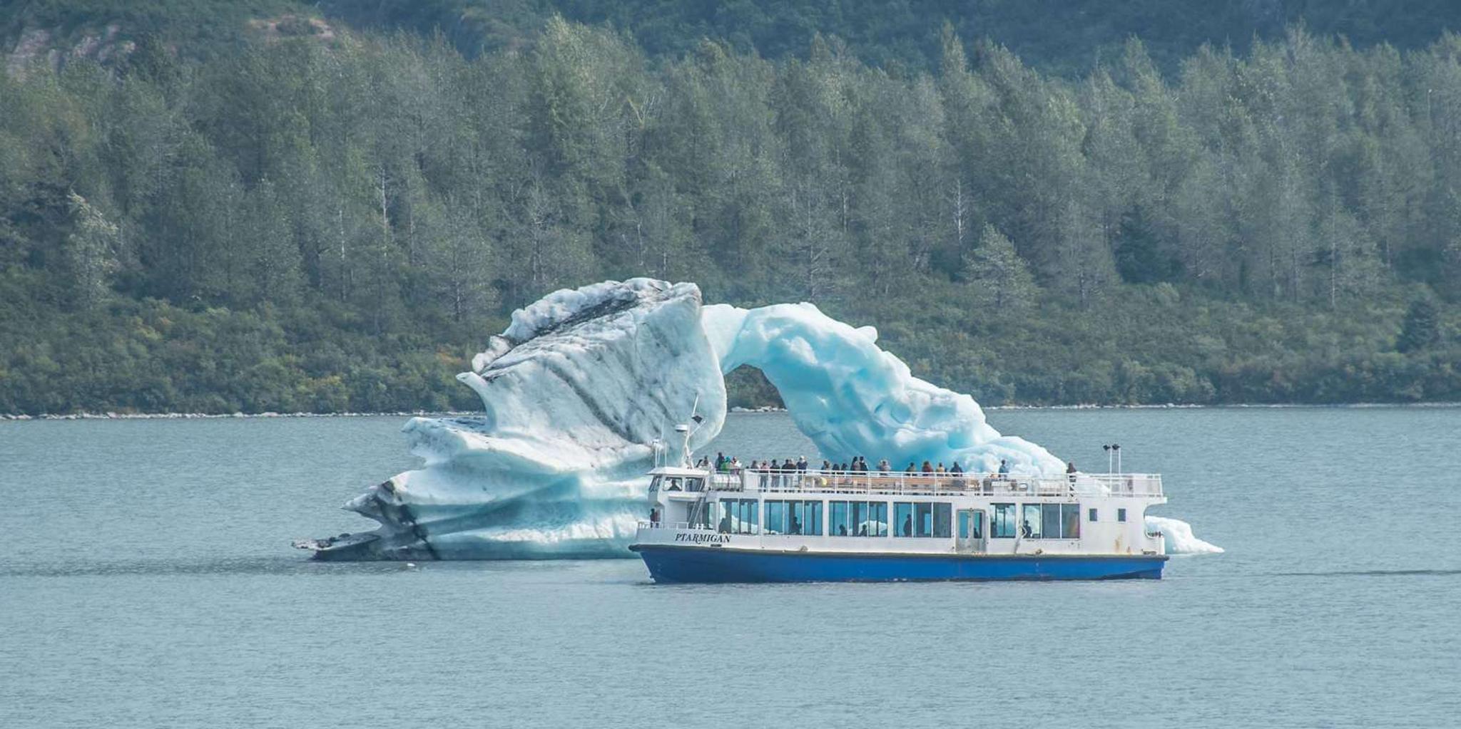 Anchorage Glaciers and Wildlife Day Tour - Image 3