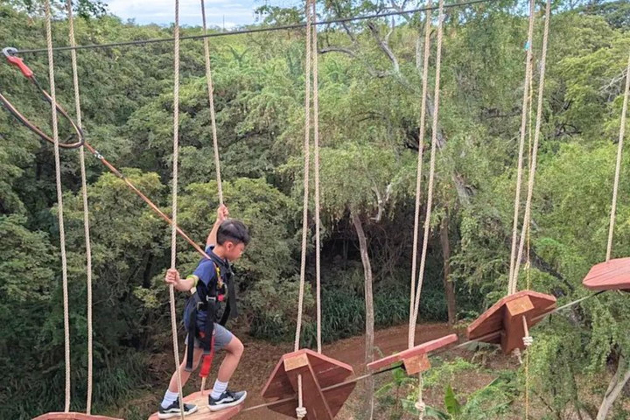 Coral Crater High Ropes Adventure Course - Image 4
