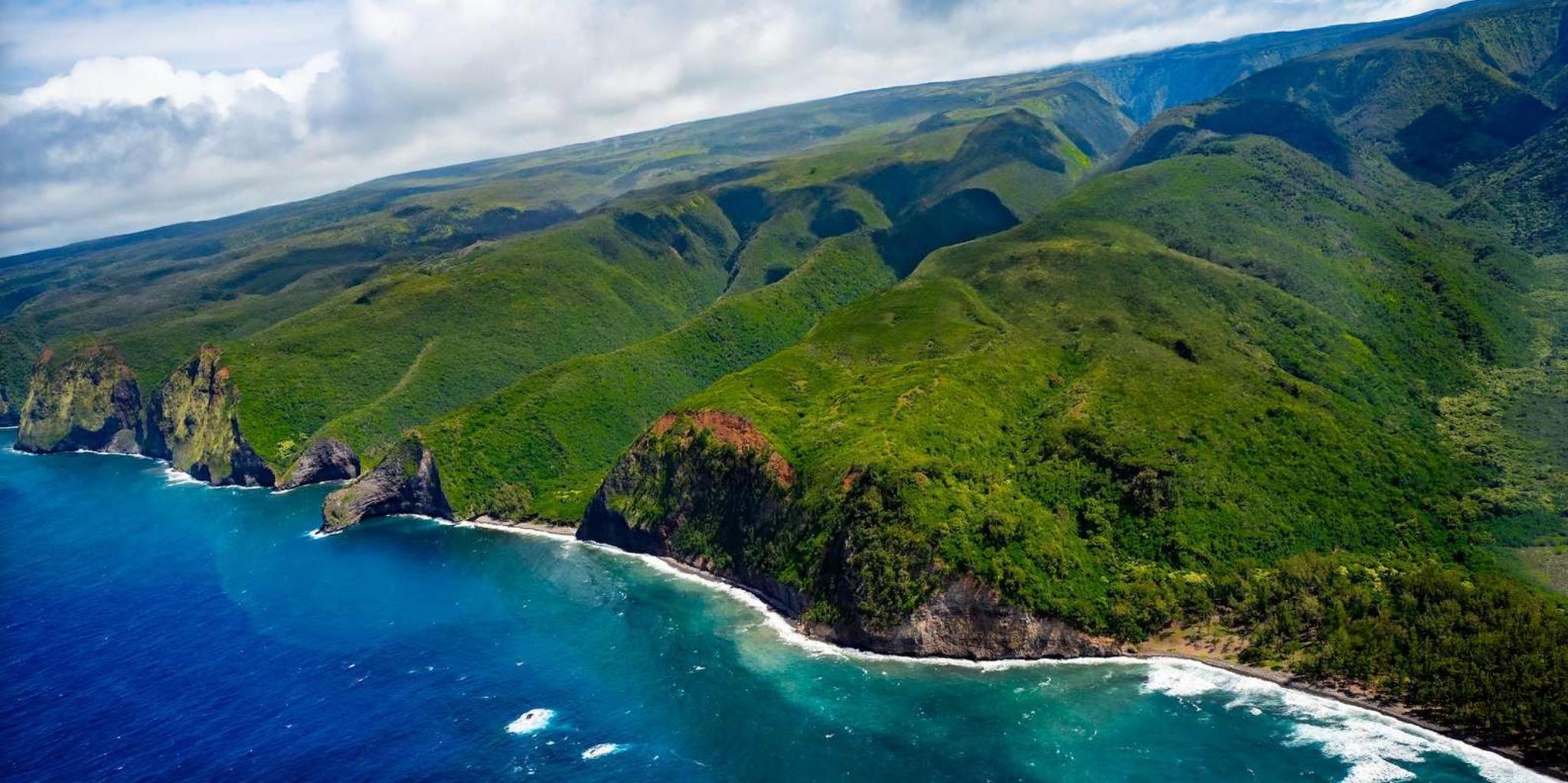 Hilo Helicopter Tour of Hamakua Coast and Valleys - Image 6