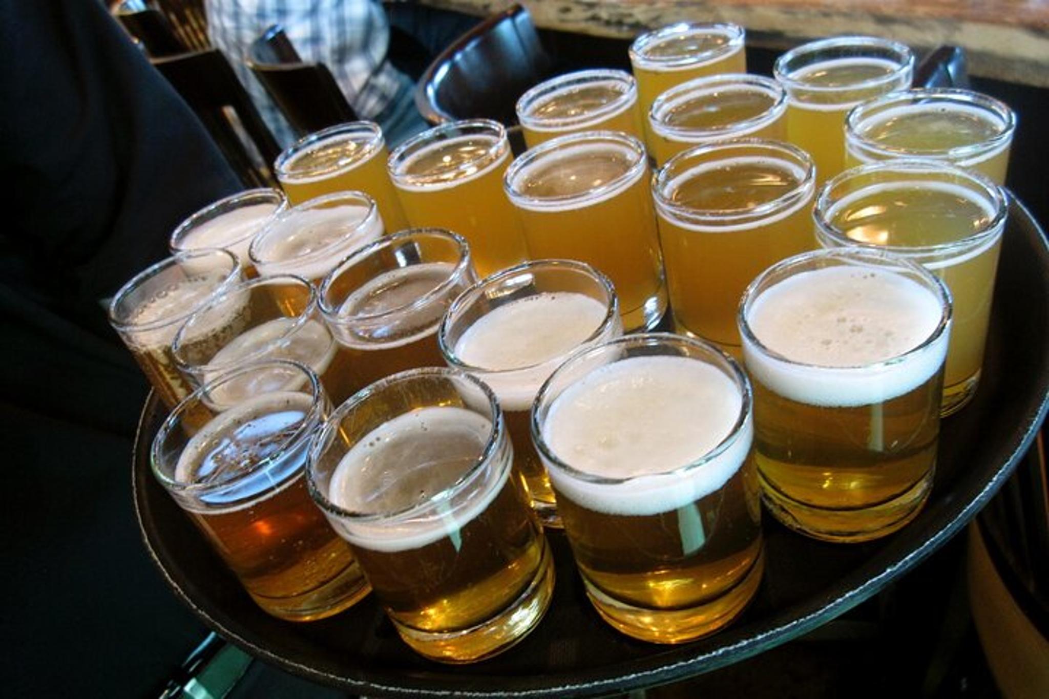 Colorado Springs Brewery Tour 2.5 Hours - Image 5