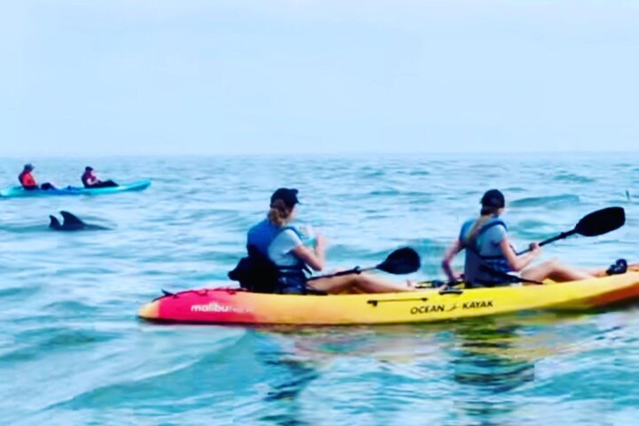 Virginia Beach Dolphin Kayak Tour - Image 2