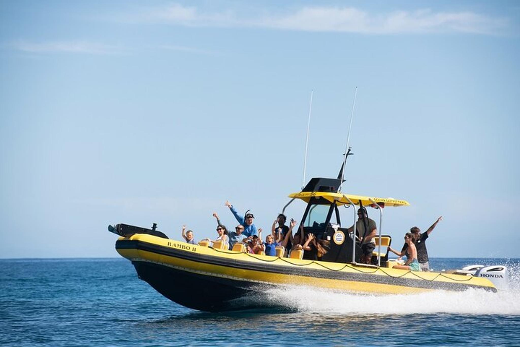 Oahu Shark Dive North Shore 2 hr - Image 3