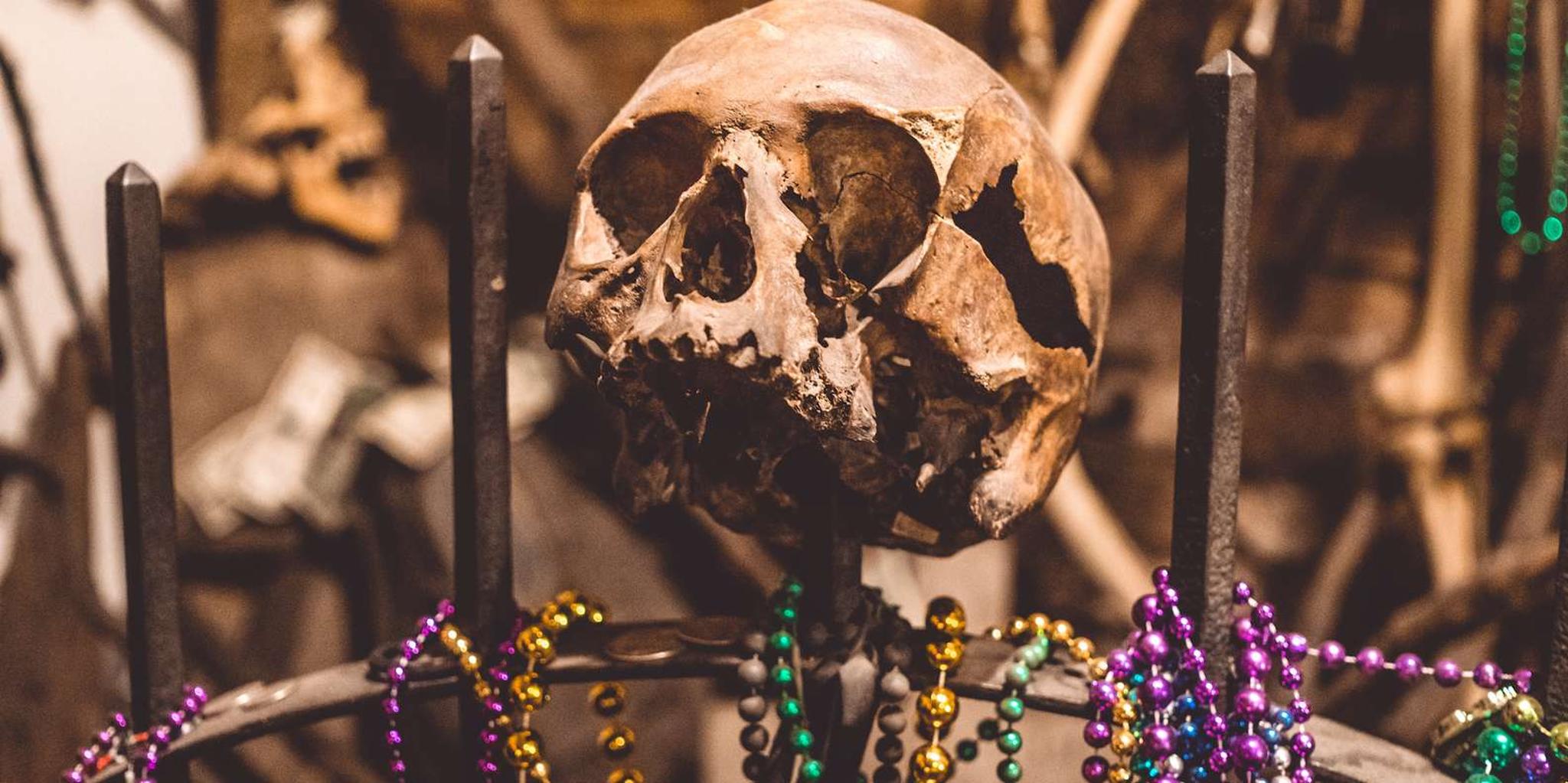 New Orleans Vampires, Voodoo, and Ghosts Tour - Image 2