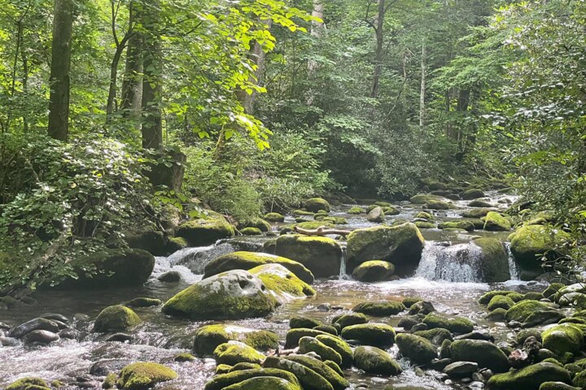 Smoky Mountains Roaring Fork Sightseeing Jeep Tour