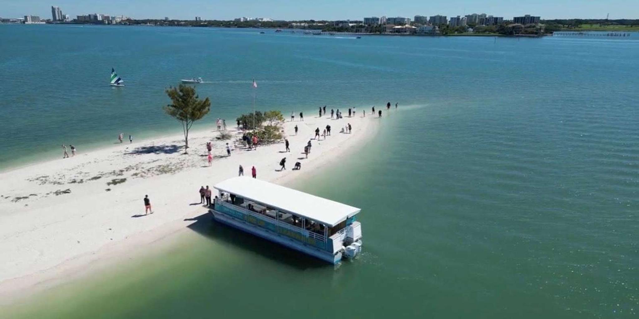 Clearwater Beach Dolphin and Island Sandbar Cruise - Image 3