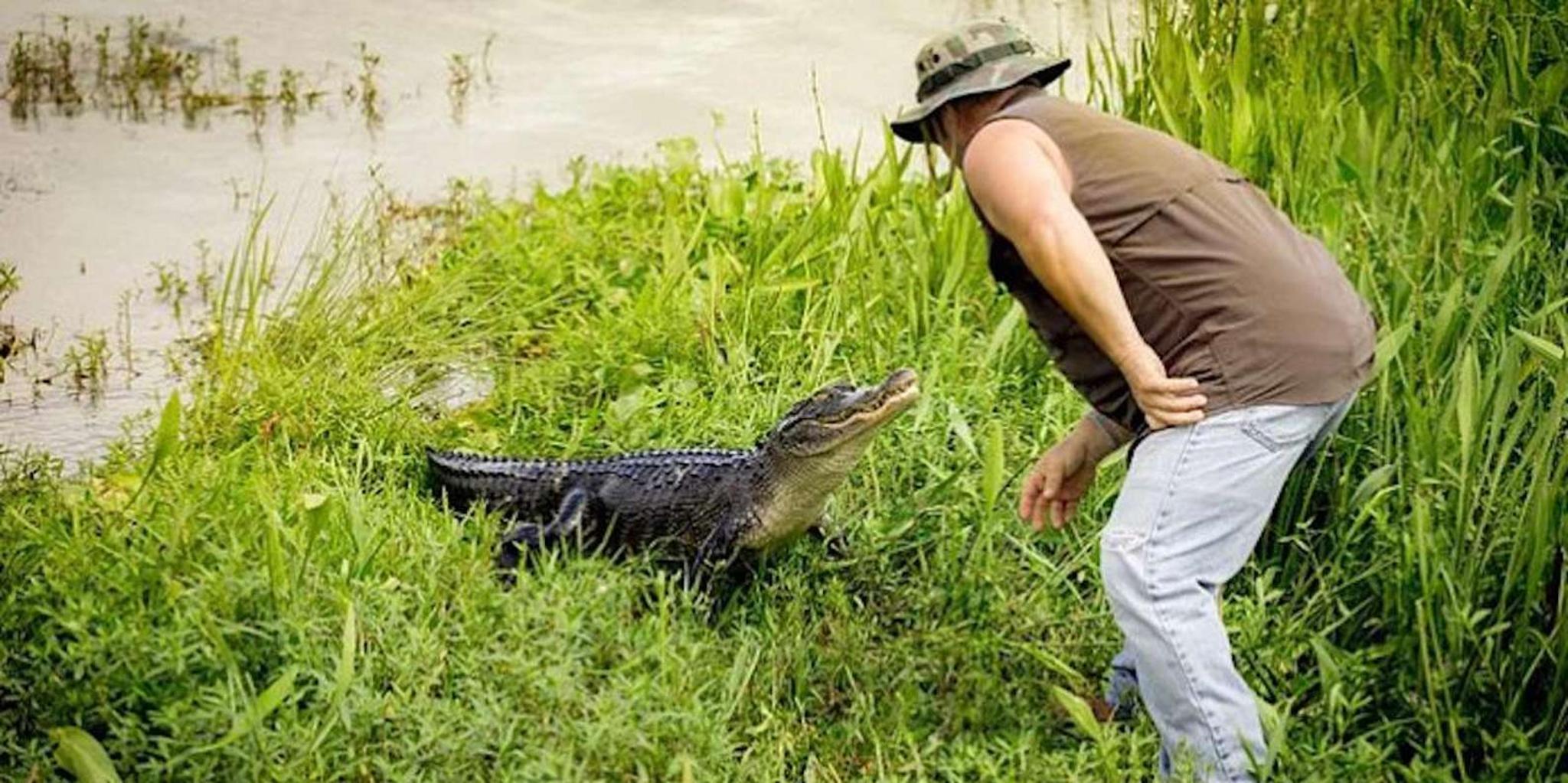 New Orleans Airboat Adventure Tour - Image 4