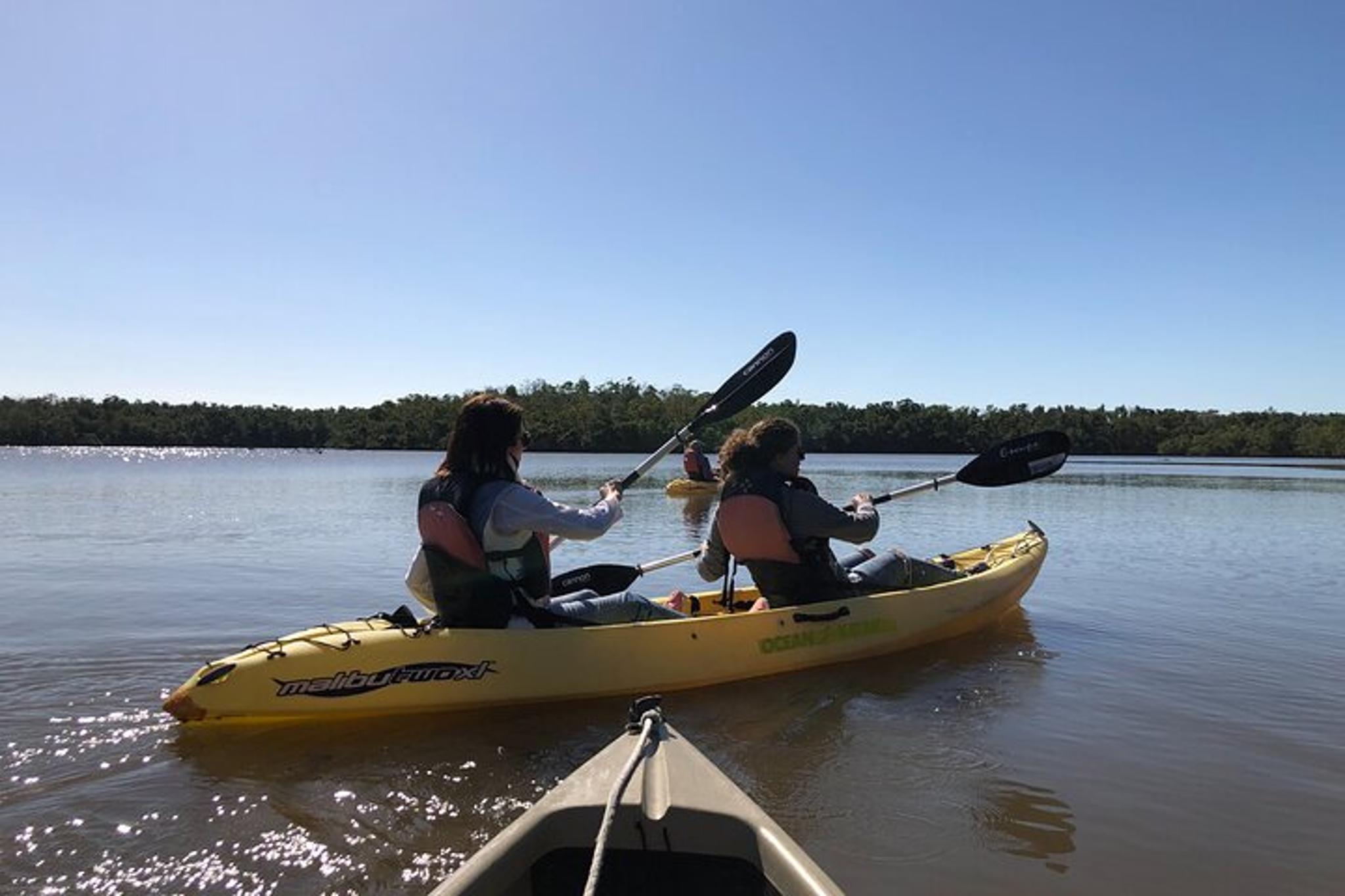 Everglades Boating, Kayaking, and Walking Eco Tour - Image 5