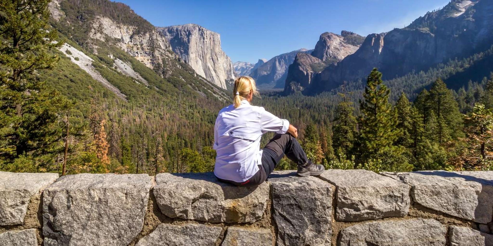 San Francisco Yosemite One-Way Transfer