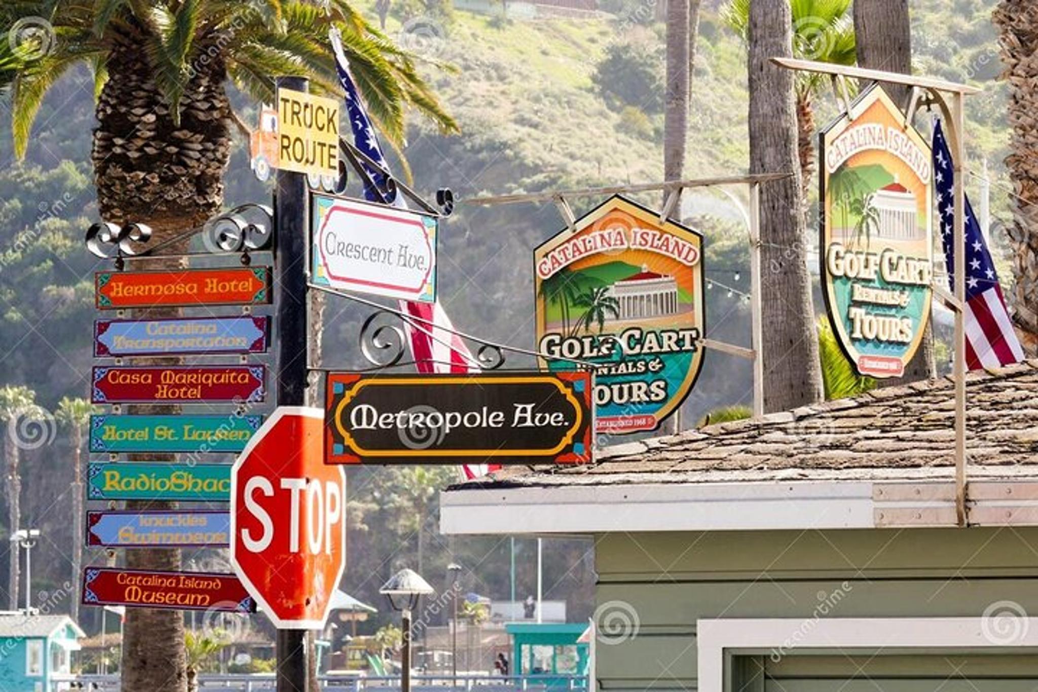 Avalon City Terrace Tour with Mt Ada Views - Image 6