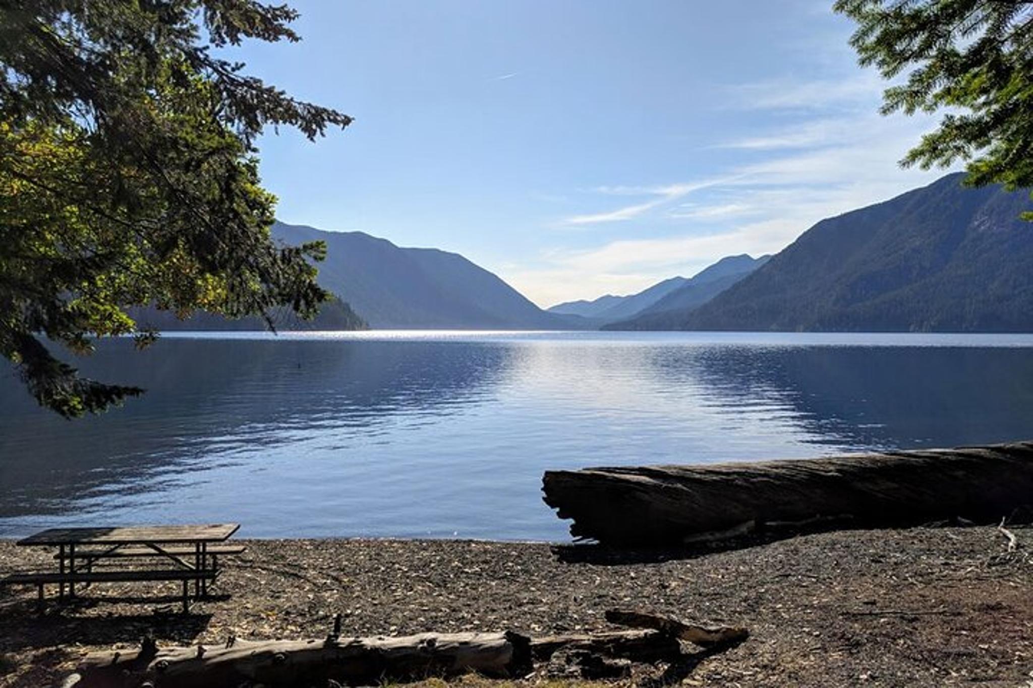 Olympic National Park Private Day Tour with Lunch - Image 4