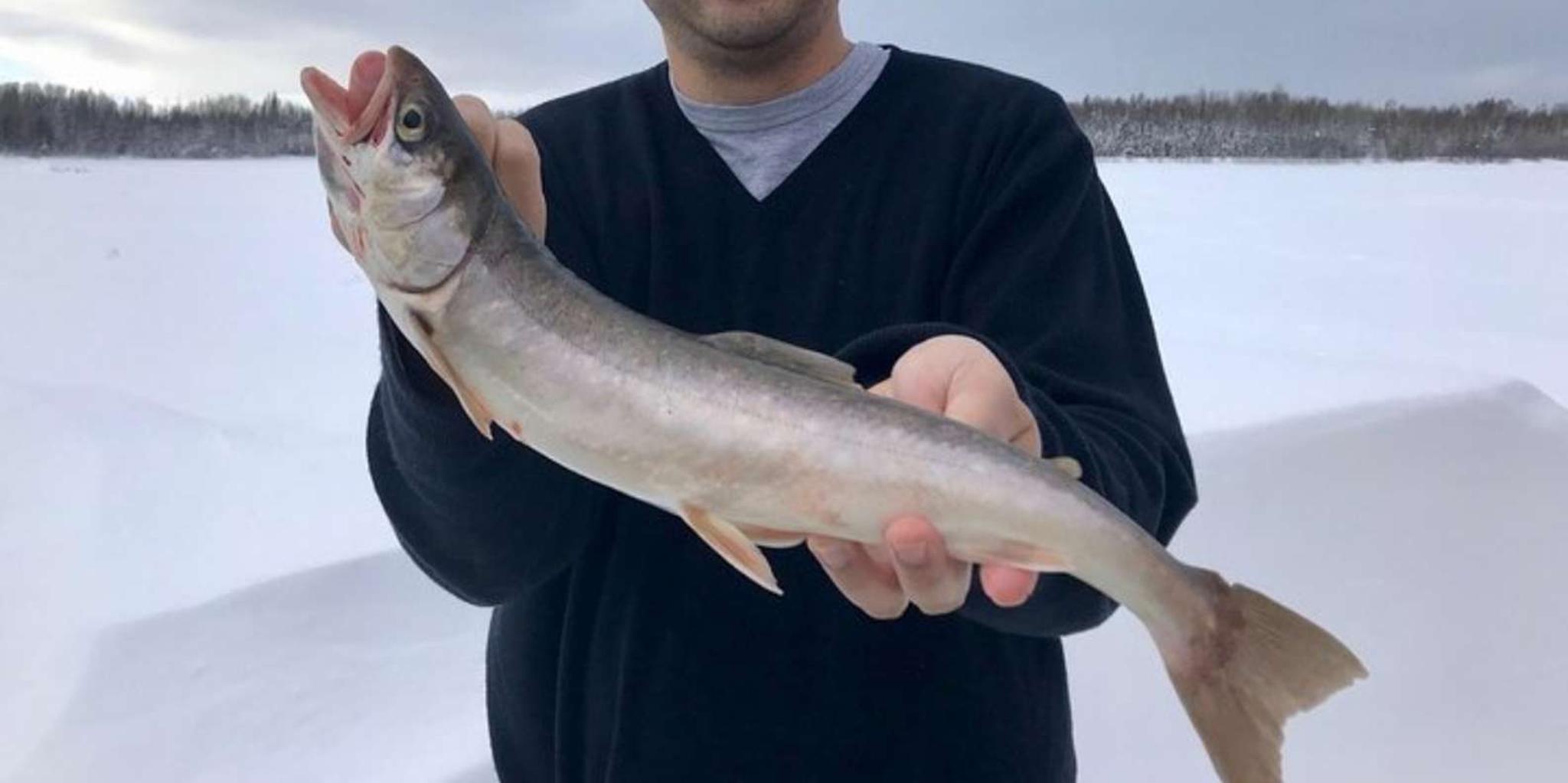 Fairbanks Ice Fishing Tour in Heated Cabin - Image 3