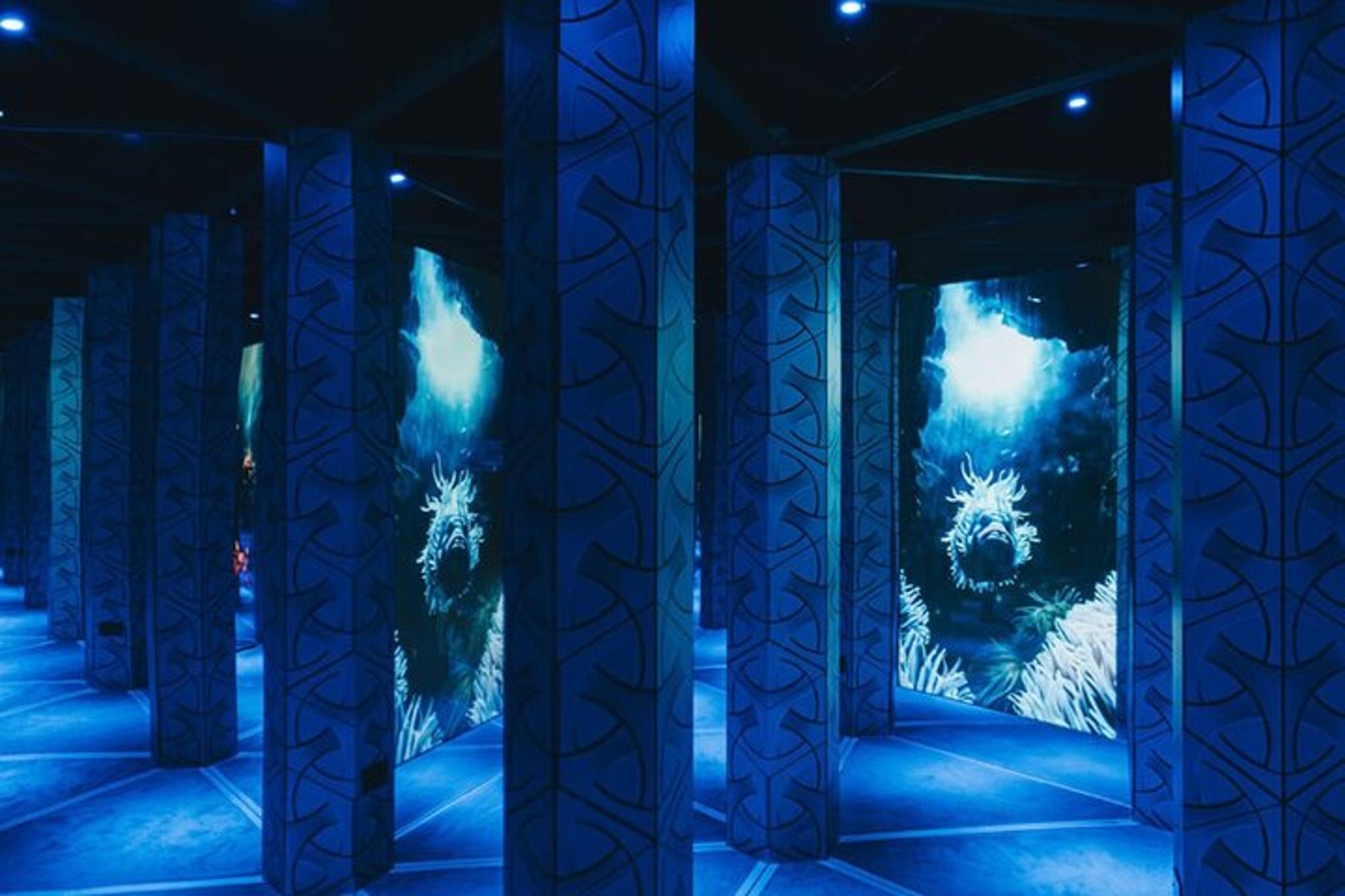 Sevierville Digital Ocean Adventure - Image 5