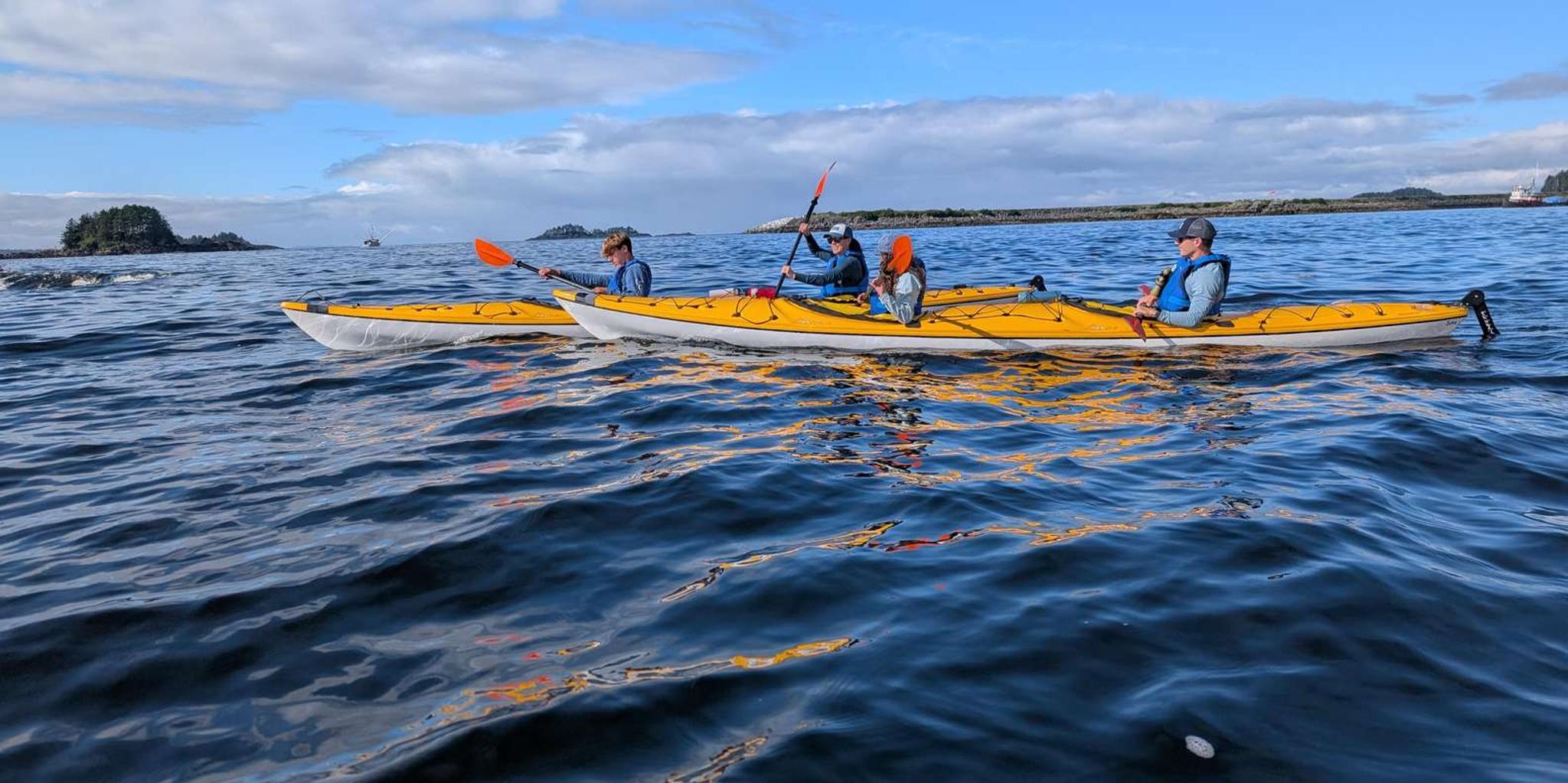 Sitka Island Discovery Kayak Tour - Image 5