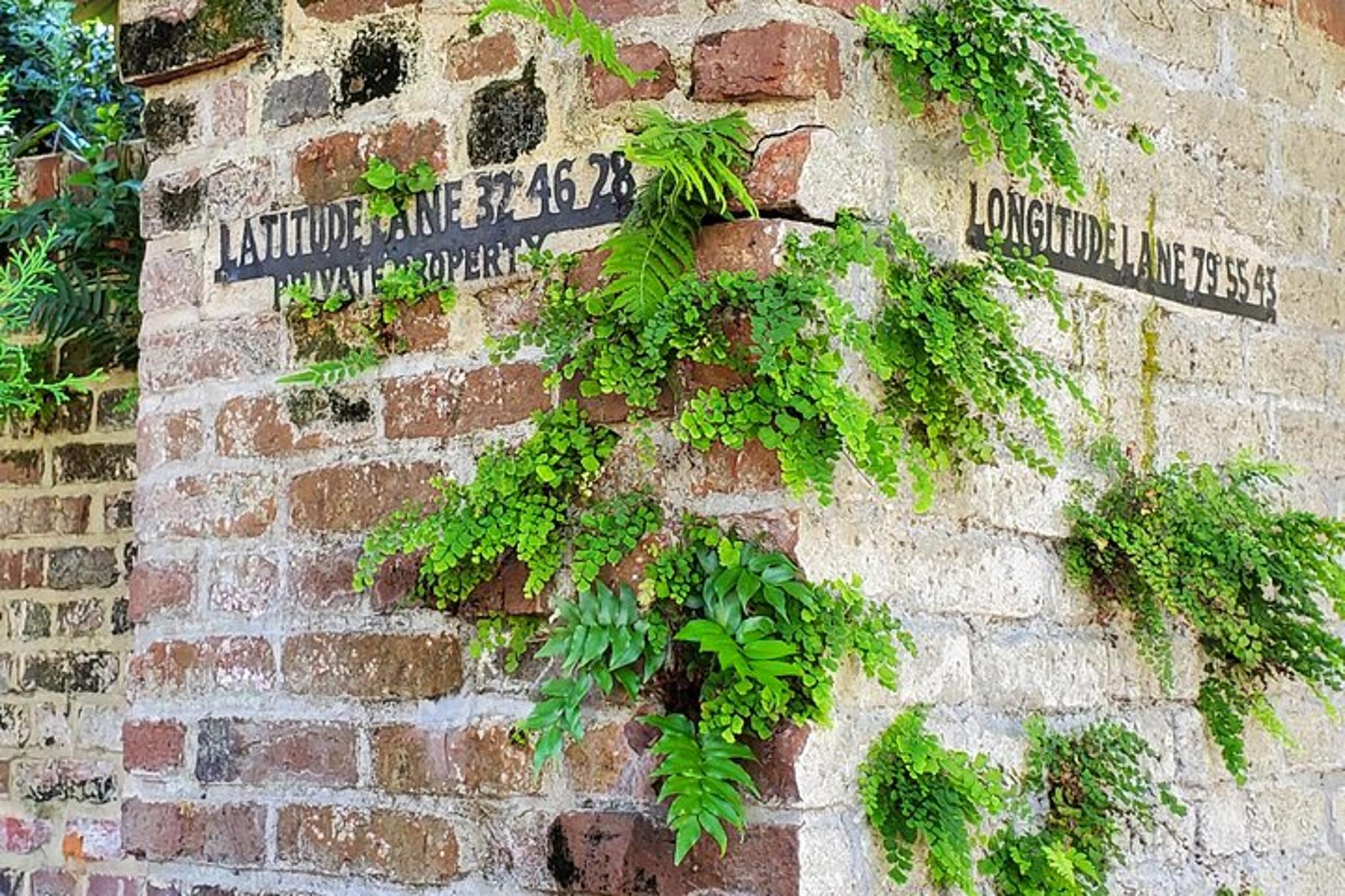 Charleston Walking Tour of Historic District