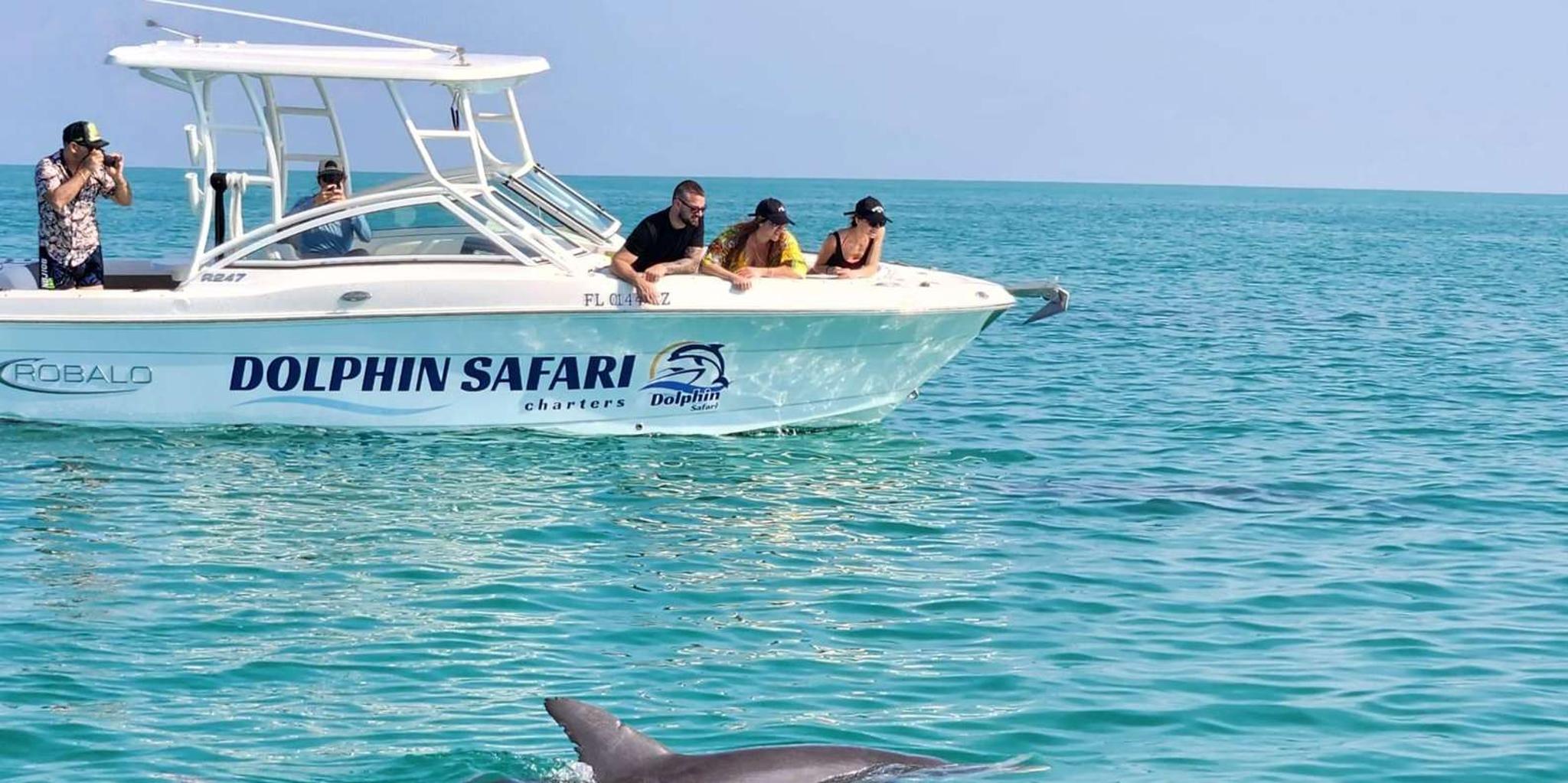 Key West Dolphin Sail and Snorkel Adventure - Image 5
