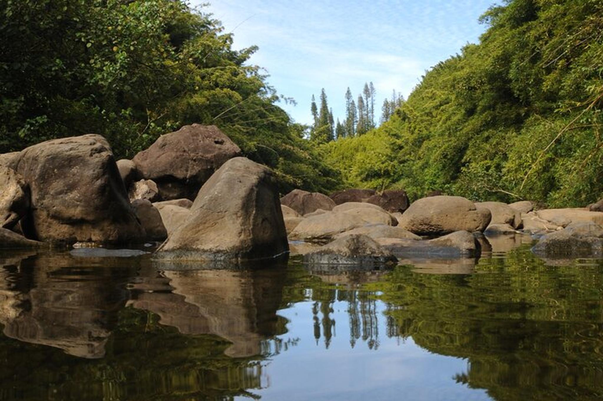 Maui North Shore Photography Tour - Image 5