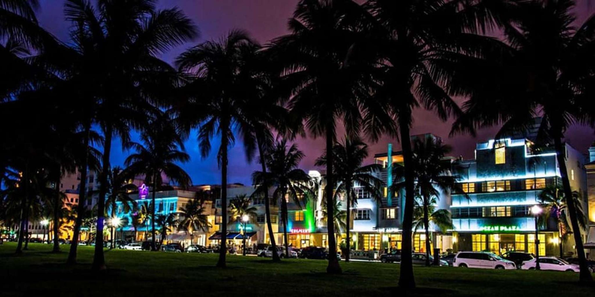 Miami City and Beach Lights Panoramic Tour - Image 1