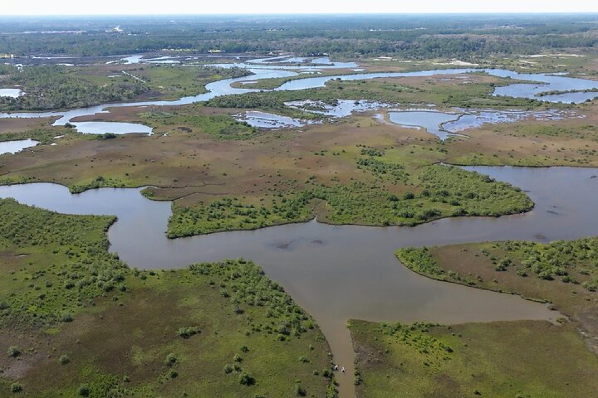 Flagler County Glass Bottom Eco Tour - Image 6