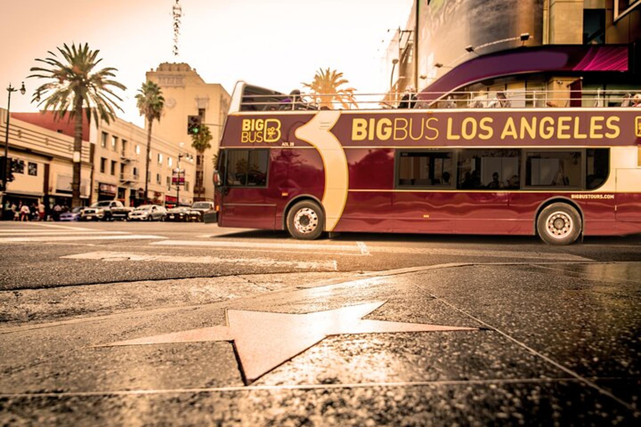 Los Angeles Hop-on Hop-off Sightseeing Tour - Image 5