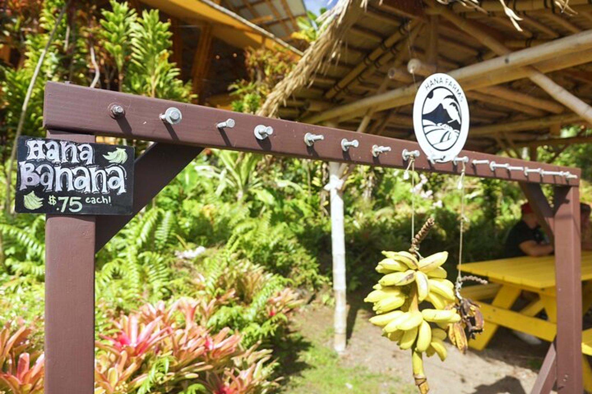 Maui Road to Hana Rainforest & Waterfall Tour - Image 2