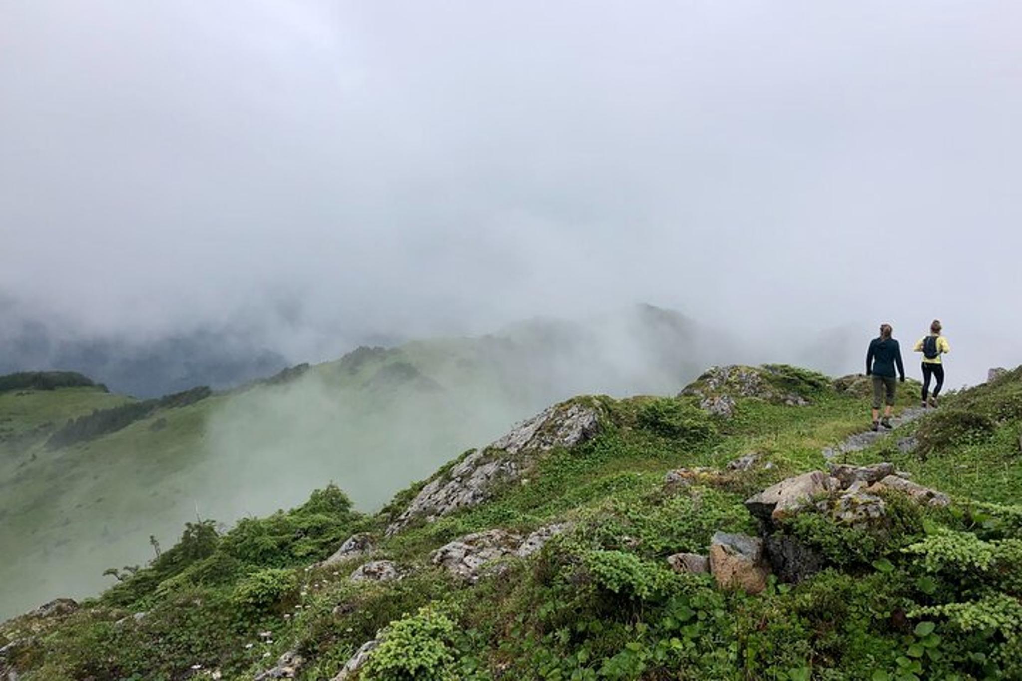 Sitka Guided Hike - Image 6