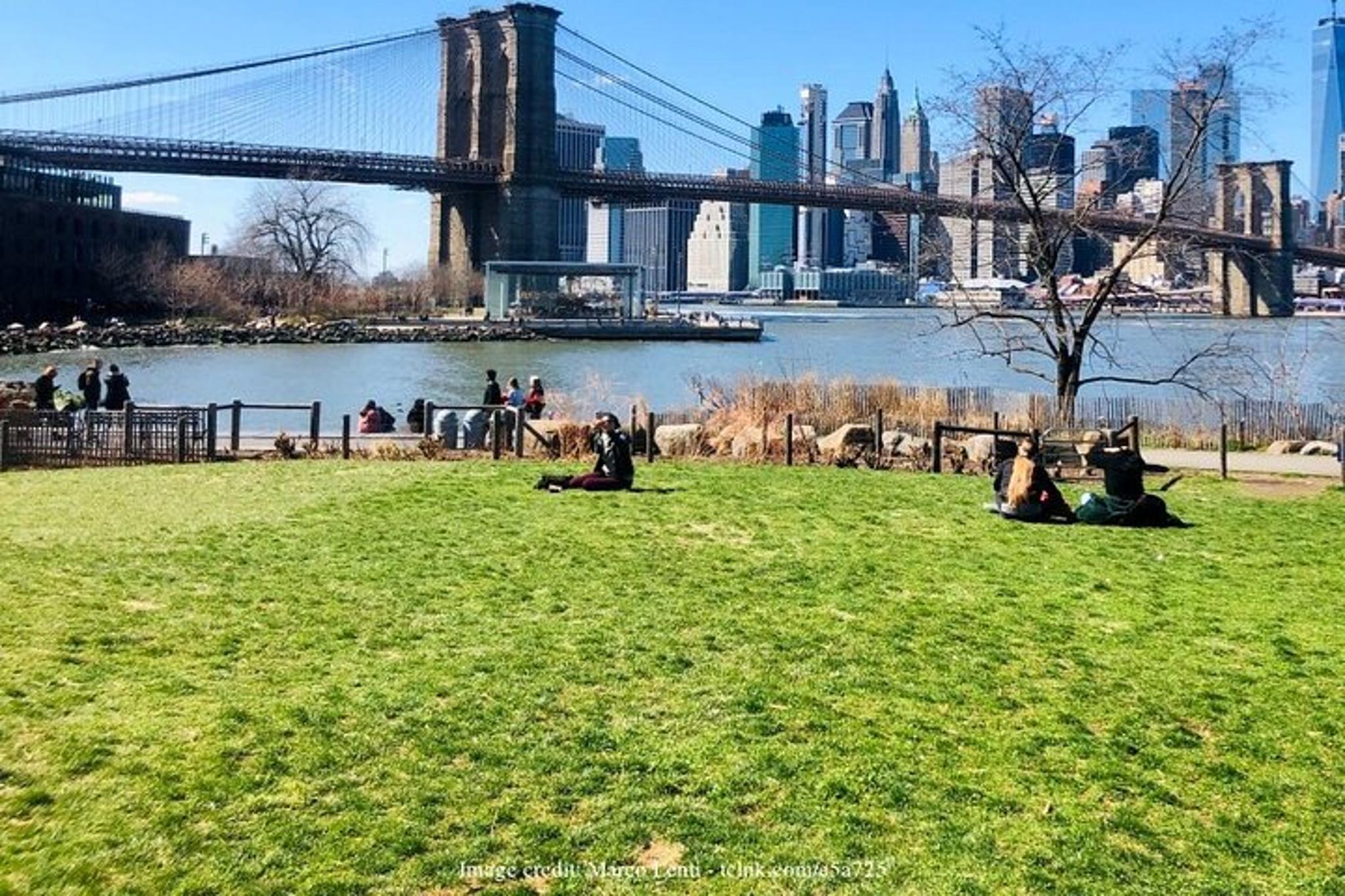 New York Walking Tour of Brooklyn Bridge and DUMBO - Image 5