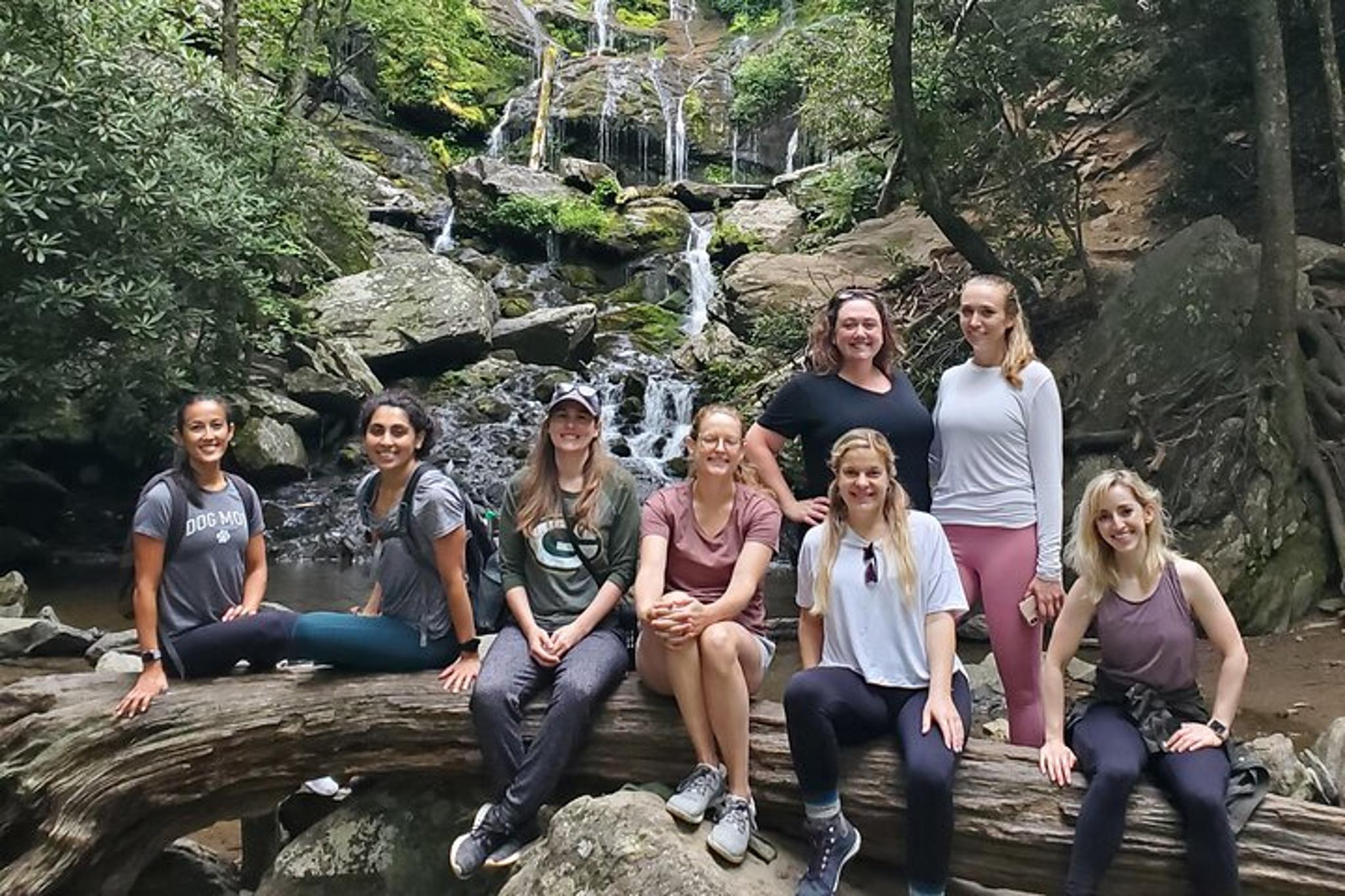 Asheville Pisgah Waterfall Tour - Image 4