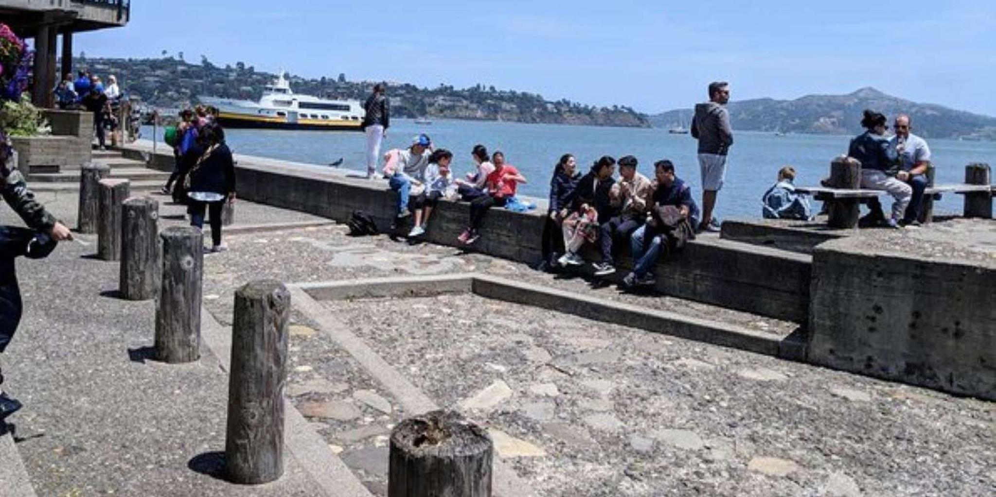 San Francisco Muir Woods, Sausalito, and Tiburon Day Trip - Image 4