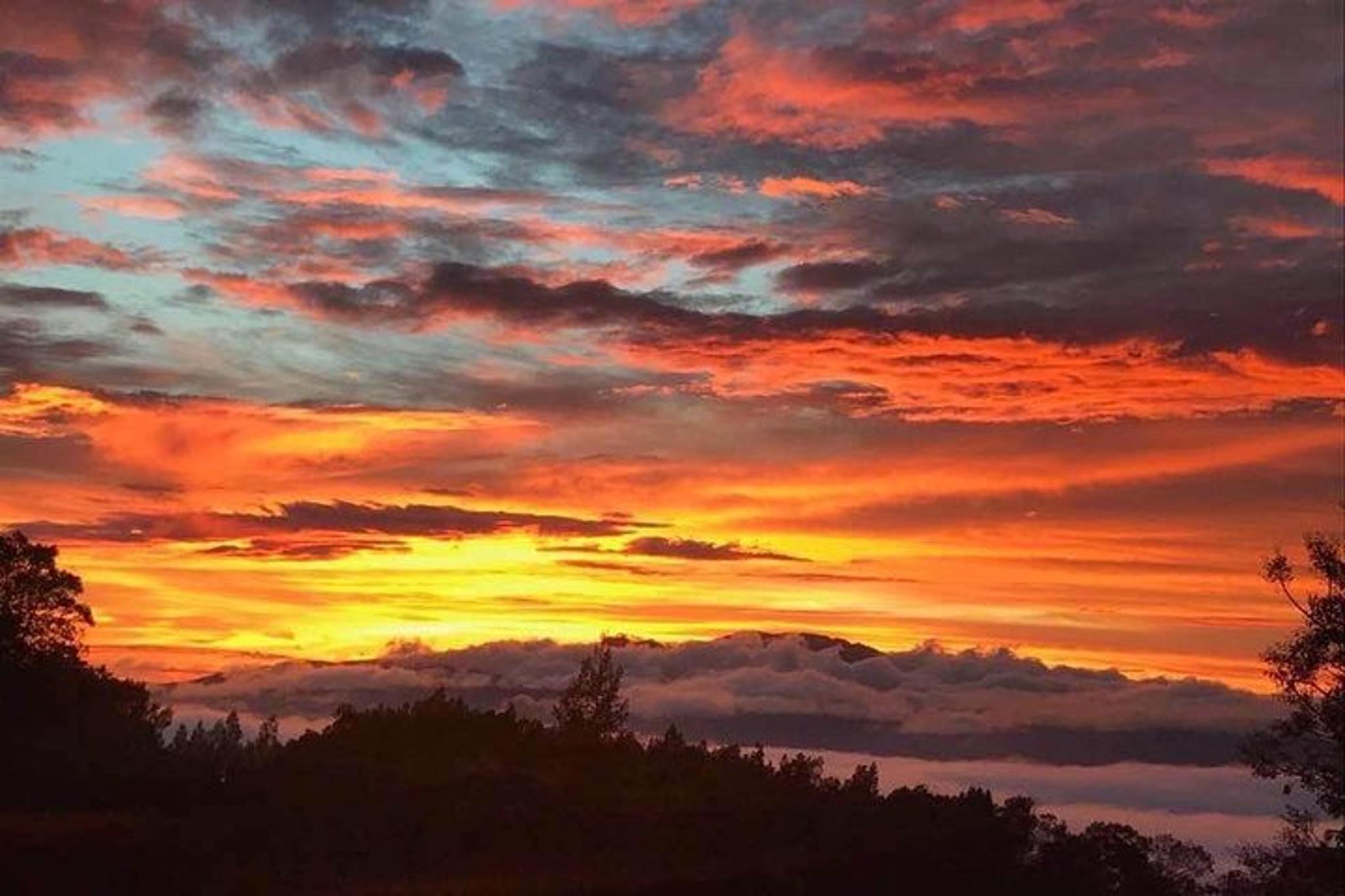 Maui Private Island Tour - Image 4