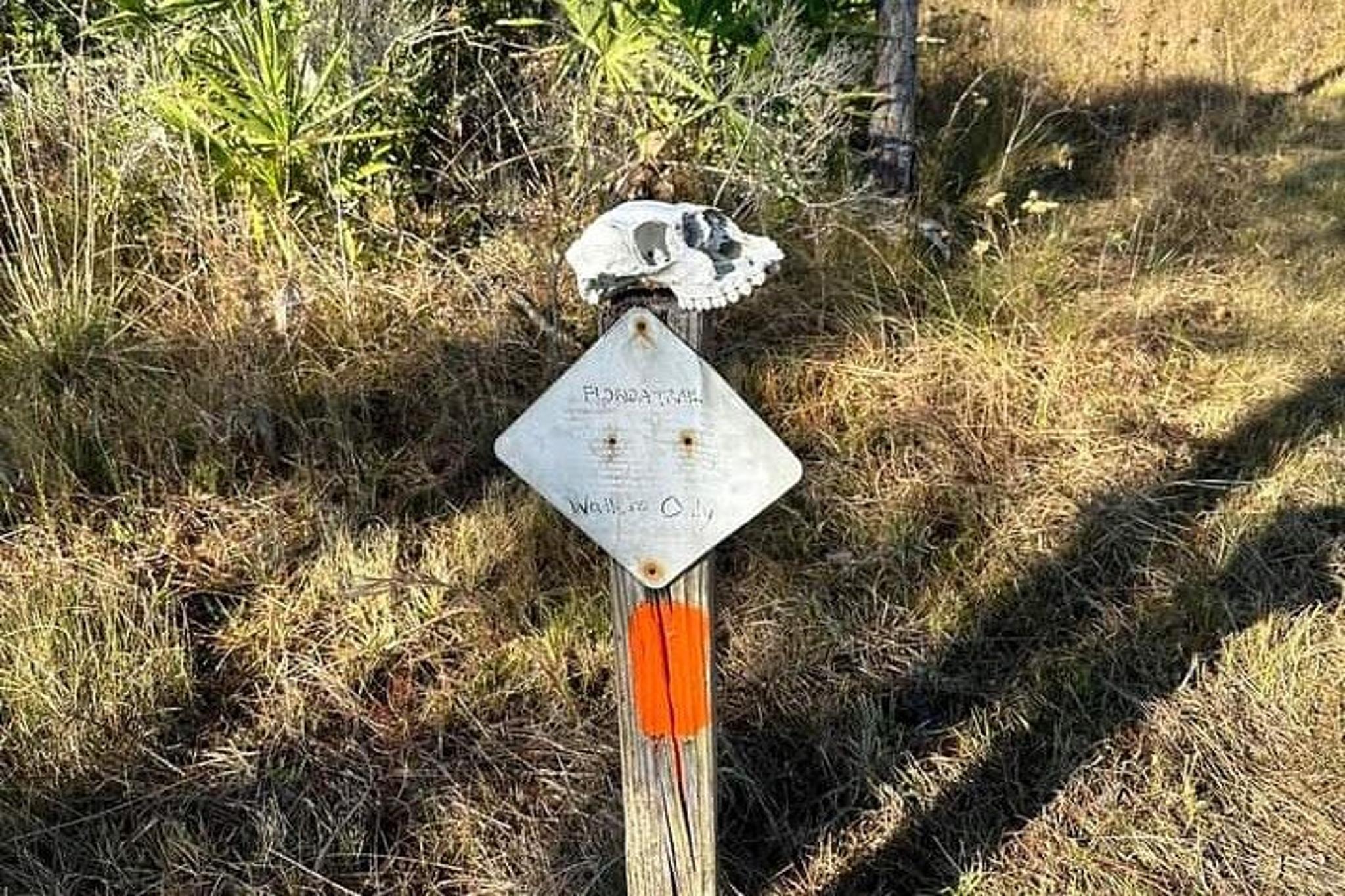 Florida Backcountry Day Hike - Image 4