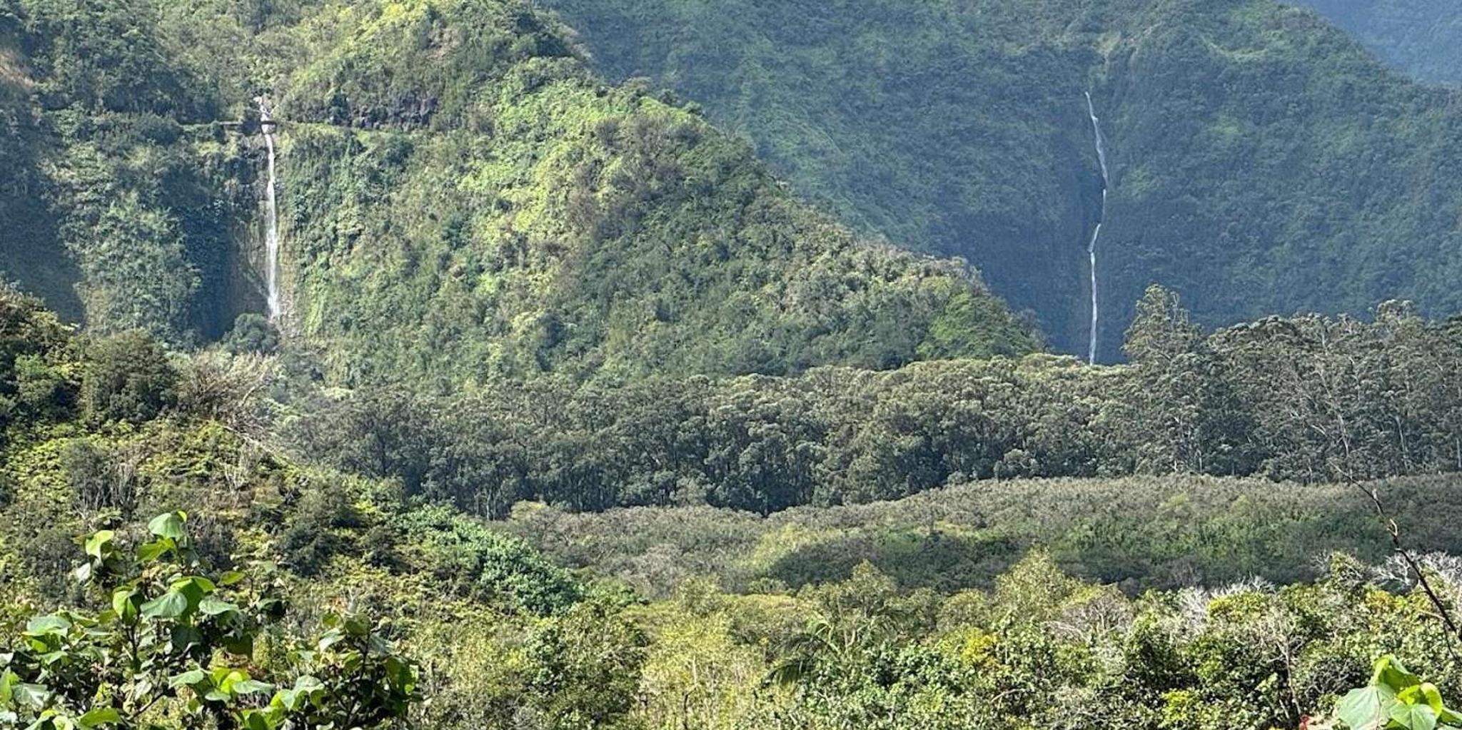 Lahaina Road to Hana Private Tour - Image 4