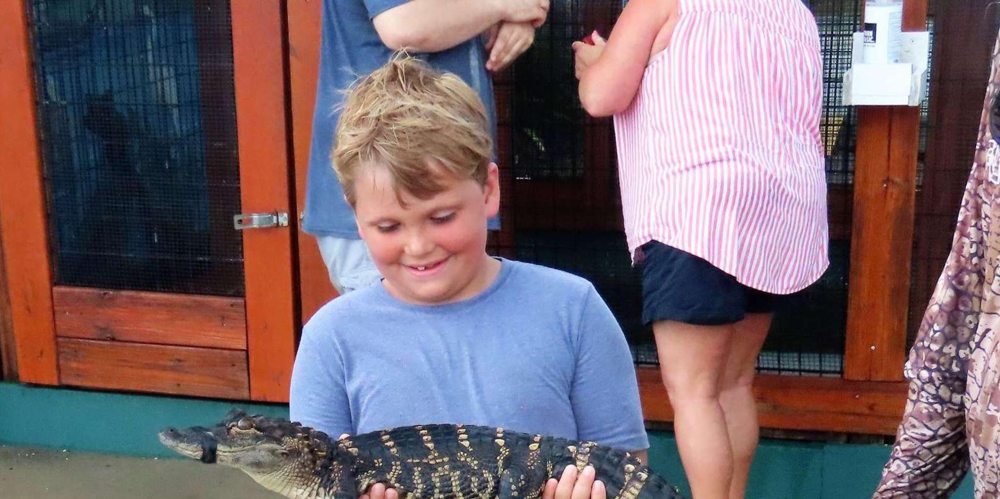 Cape Canaveral Airboat Wildlife Tour with Gator Encounter 3.5 hr - Image 3