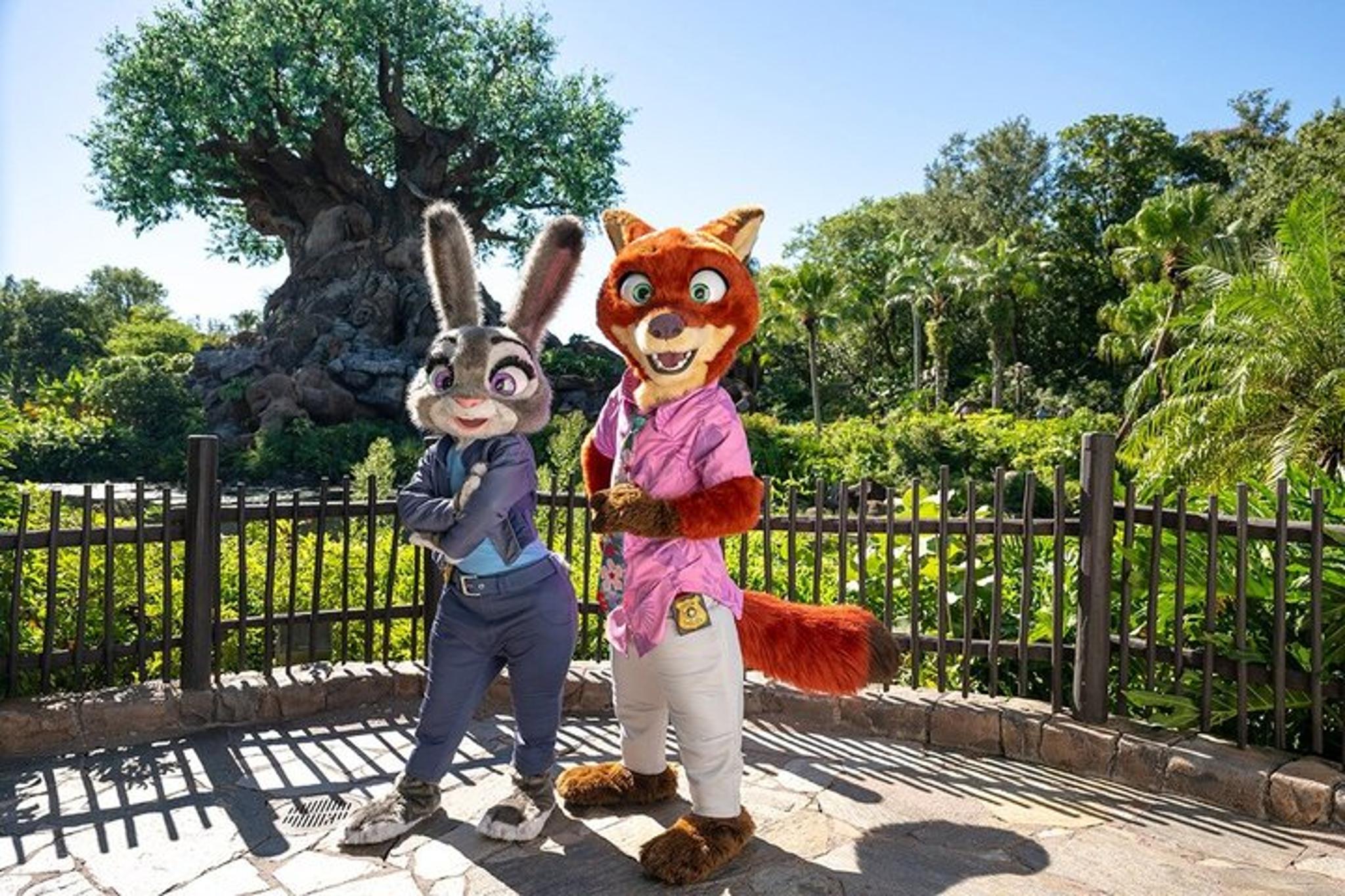 Orlando Disney World 4-Park Ticket 4-Day - Image 4