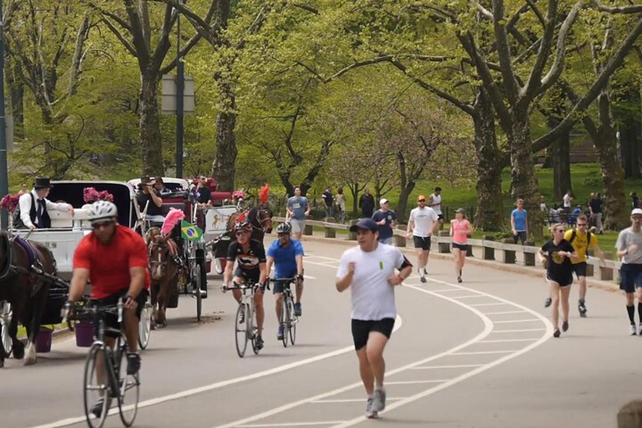 New York Central Park Virtual Tour